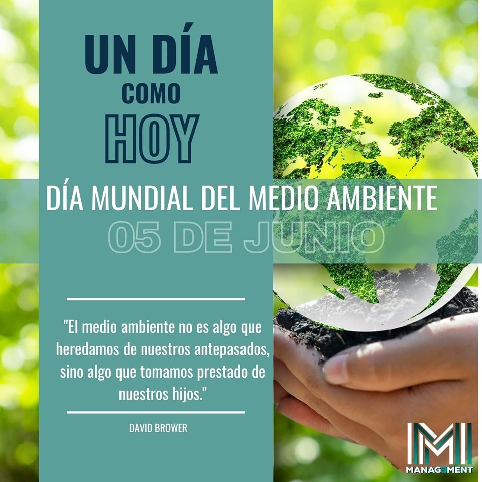 Magazine - El Día Mundial del Medio Ambiente se conmemora cada 5 de ...