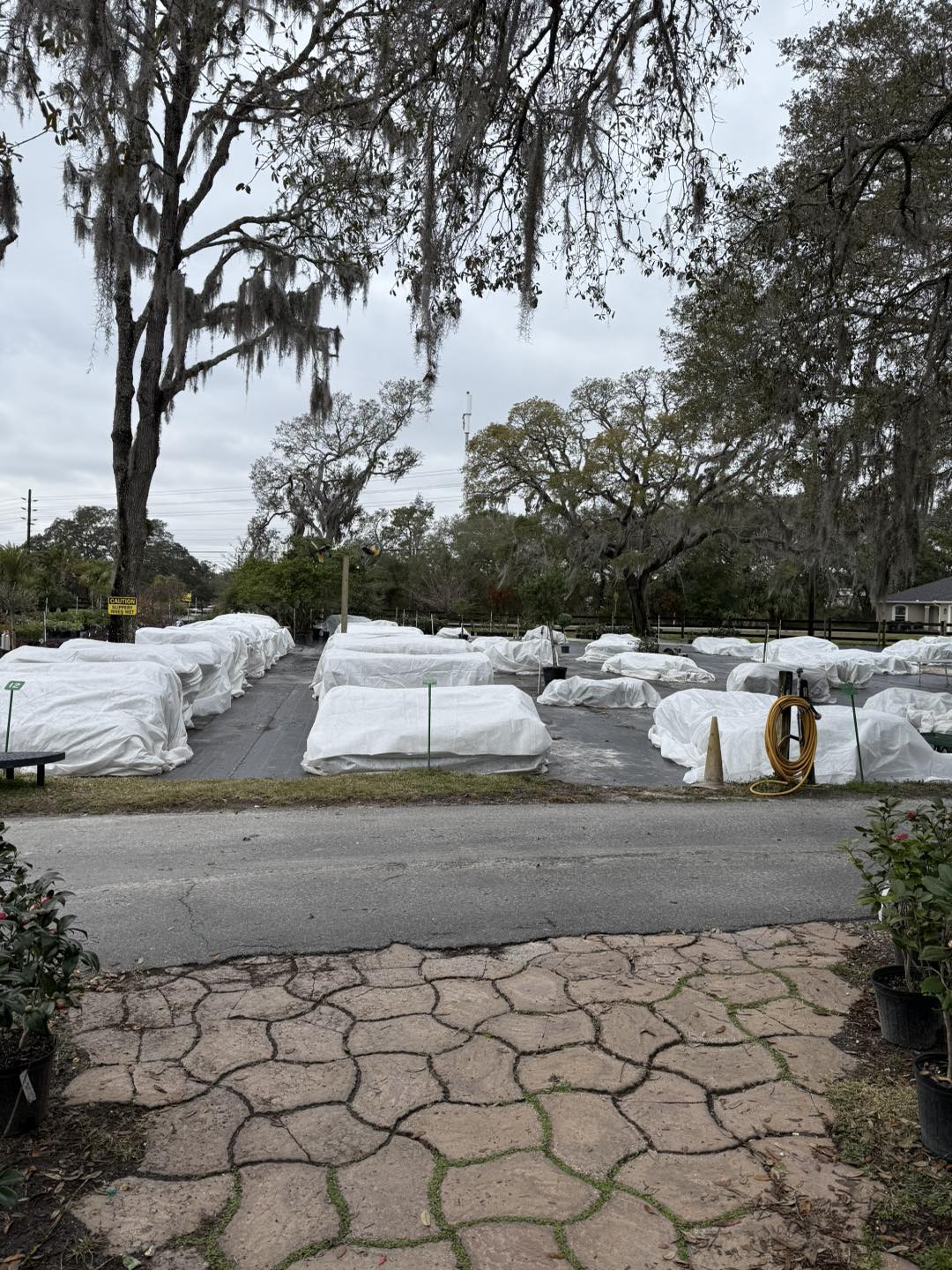 Anson Nursery | Lecanto FL