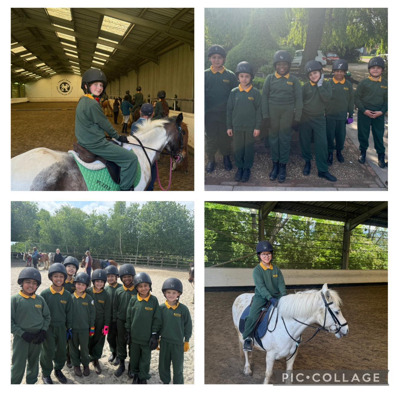 St - *Horse Riding* - St. John’s Prep School Children from F1, F2 and ...