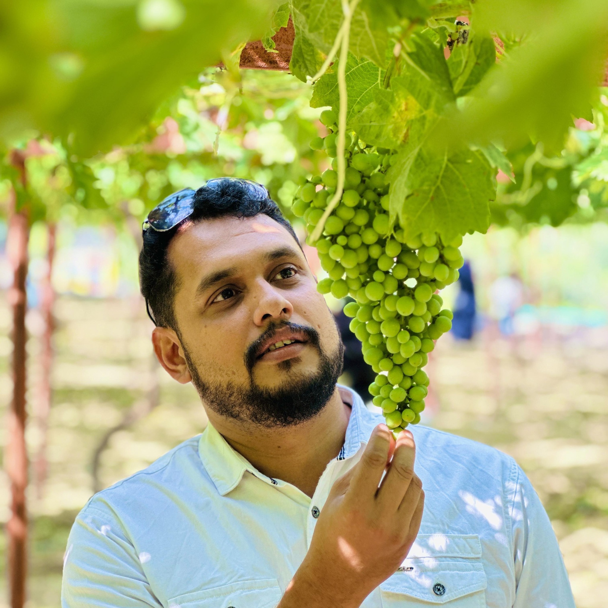 Mohammed Rafeeq Vallikkapatta