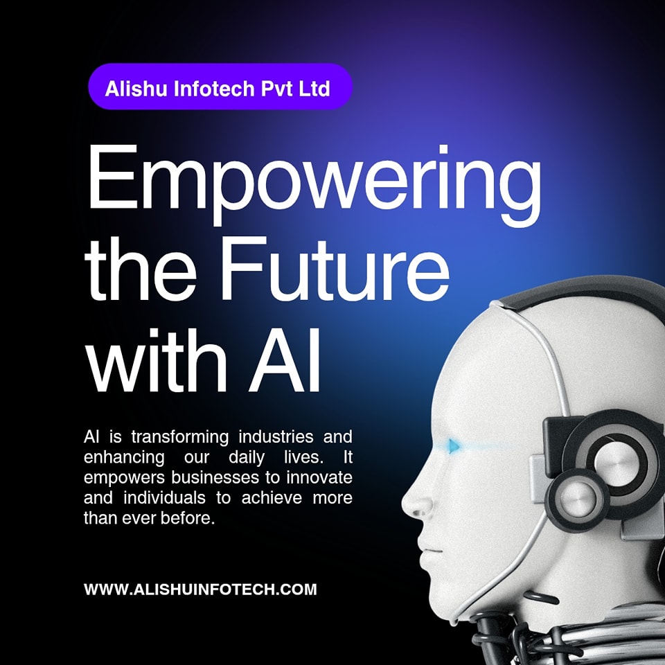 Alishu Infotech pvt ltd