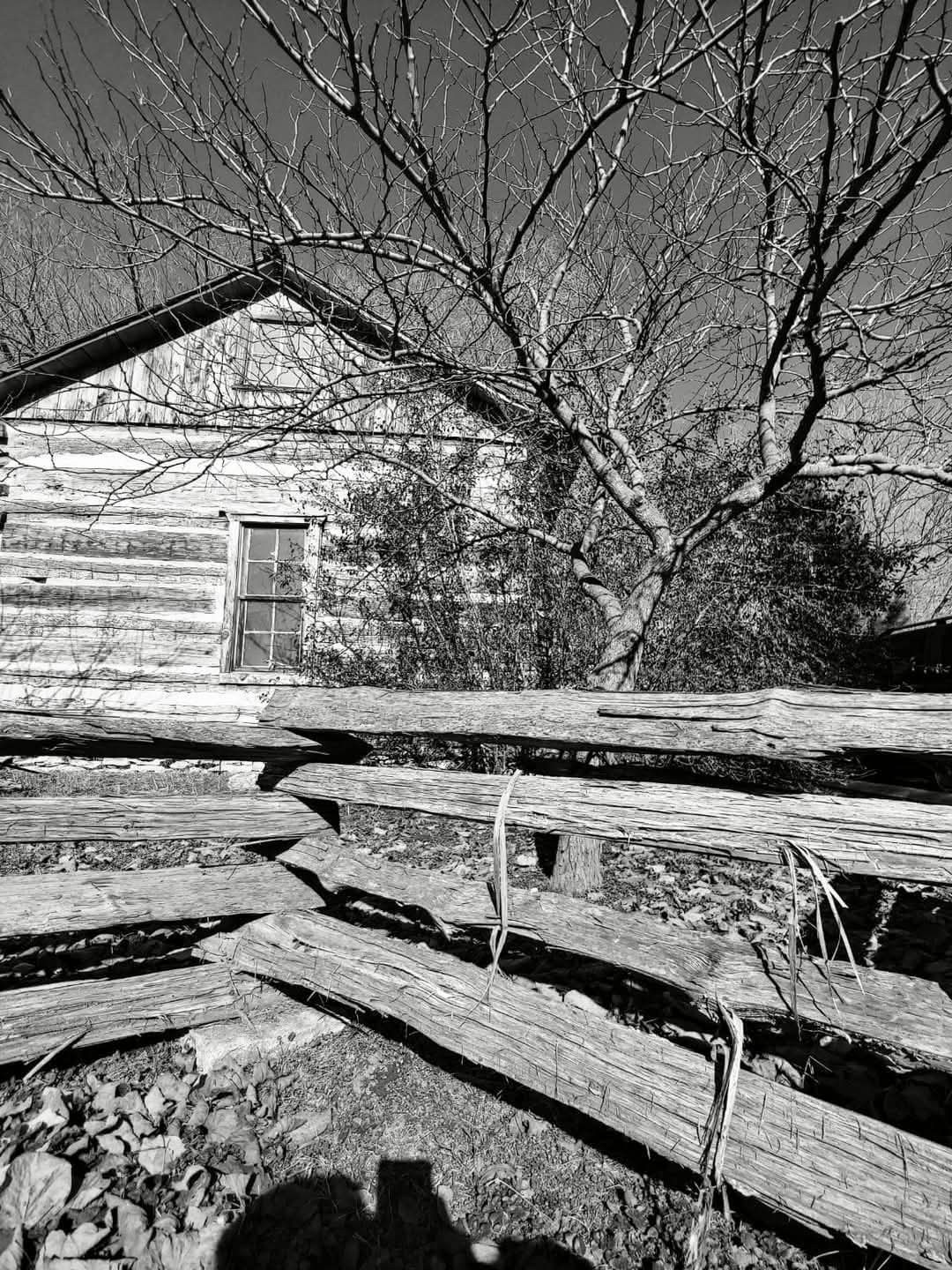 Dark Ozarks - When that old cabin hides secrets. Cabins... | Facebook