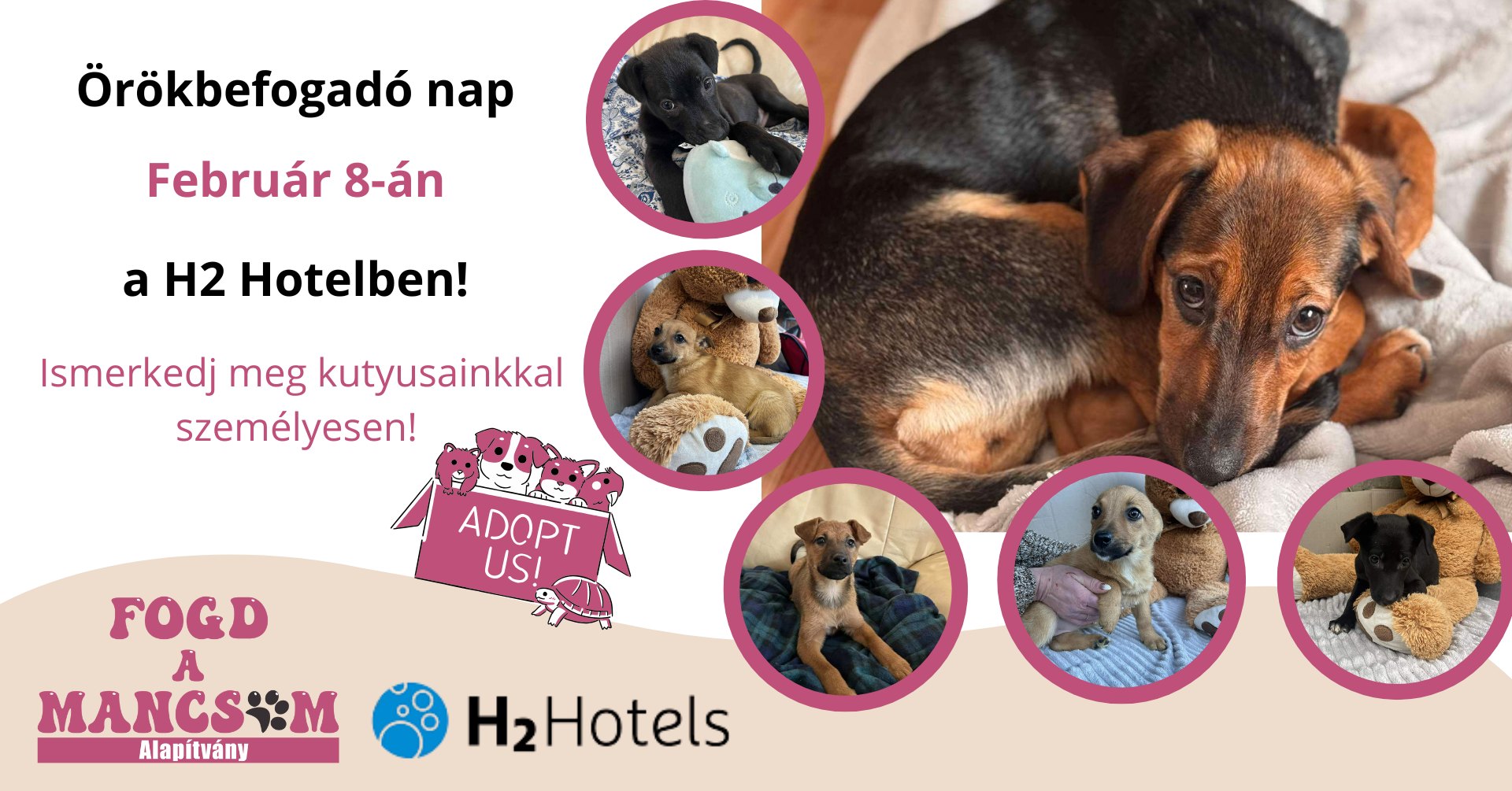 ELMARAD!! Örökbefogadó Nap- Fogd a Mancsom Alapítvány & H2 Hotel