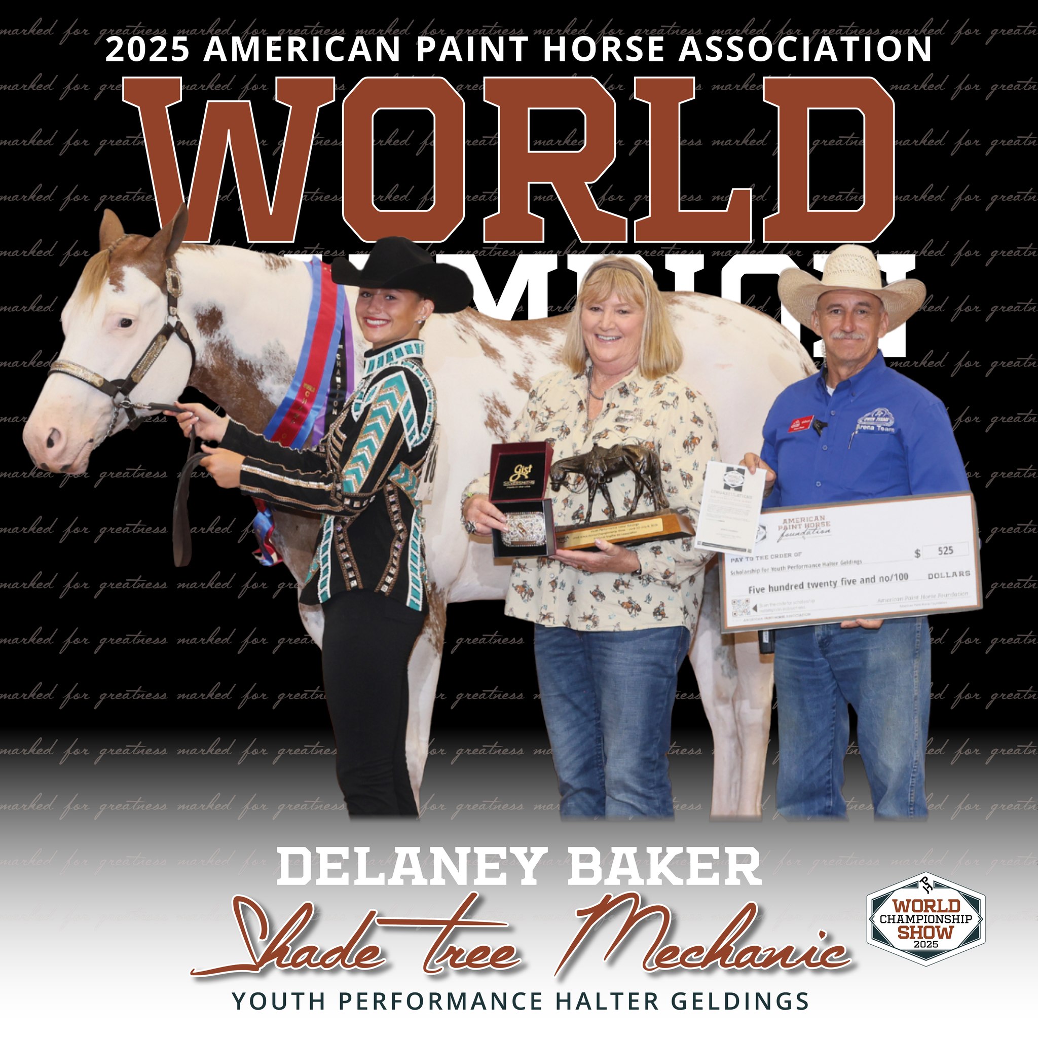 Official... - Official American Paint Horse Association