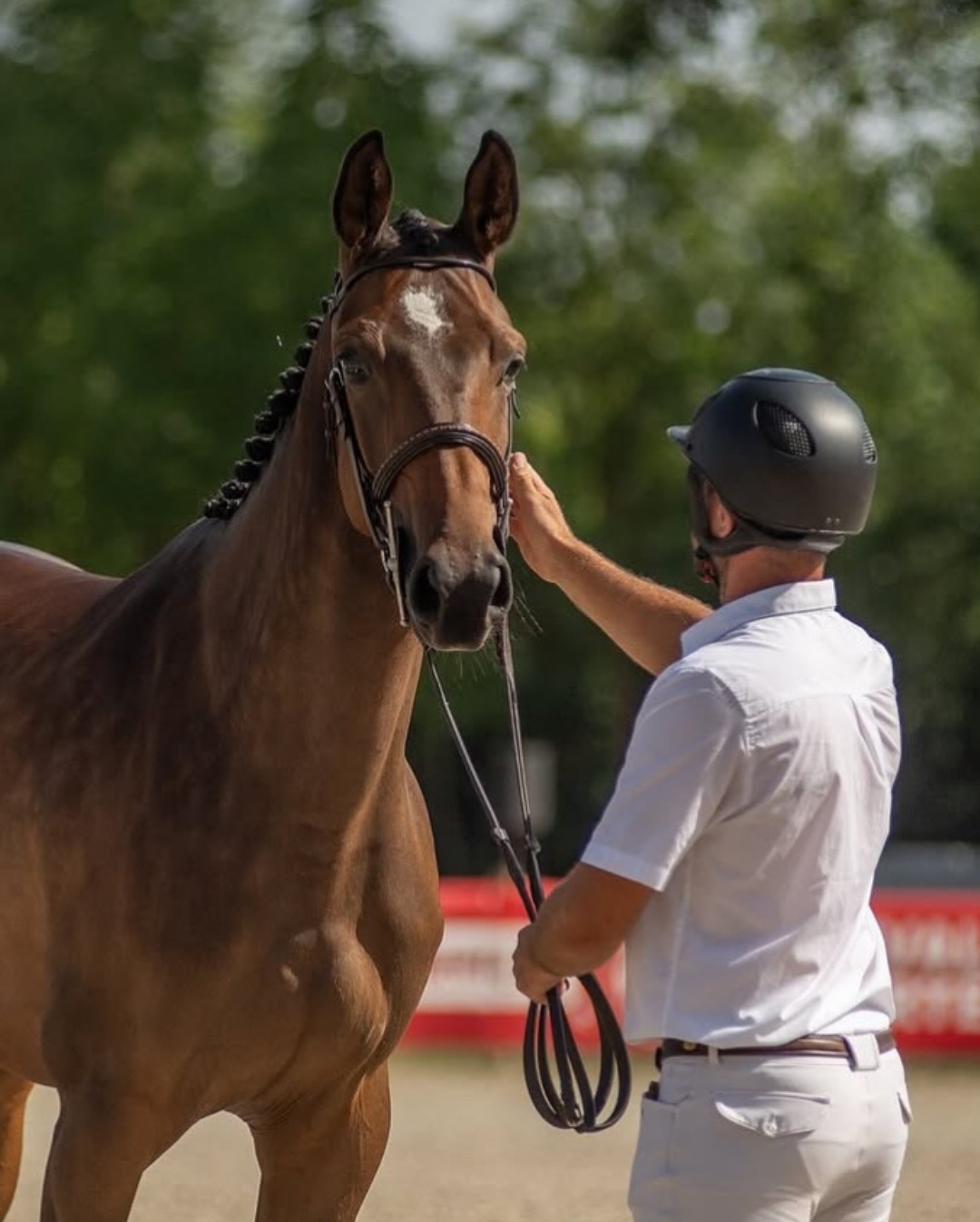 Haras Régional de Rosières aux Salines | Rosières-aux-Salines