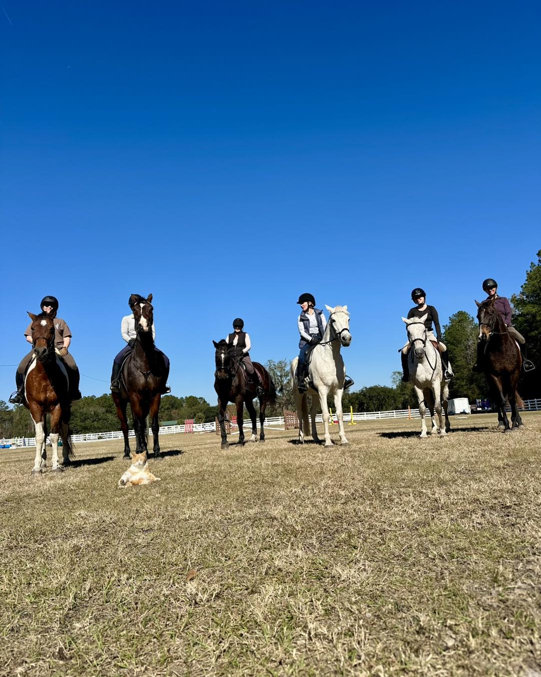 FCS Equestrian Center | Rincon GA