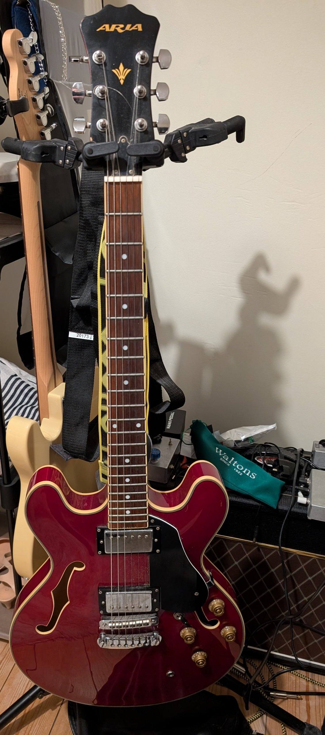 What is the story behind the Aria SW-40 acoustic guitar?