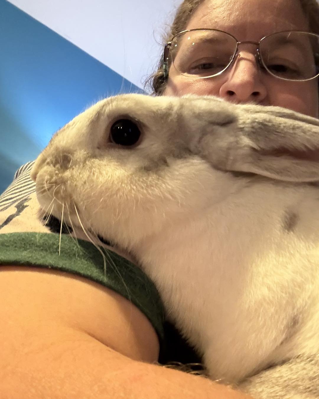 🐰 Bunny of the Week: Queen B... - Rabbit Angels Rabbit Rescue | Facebook