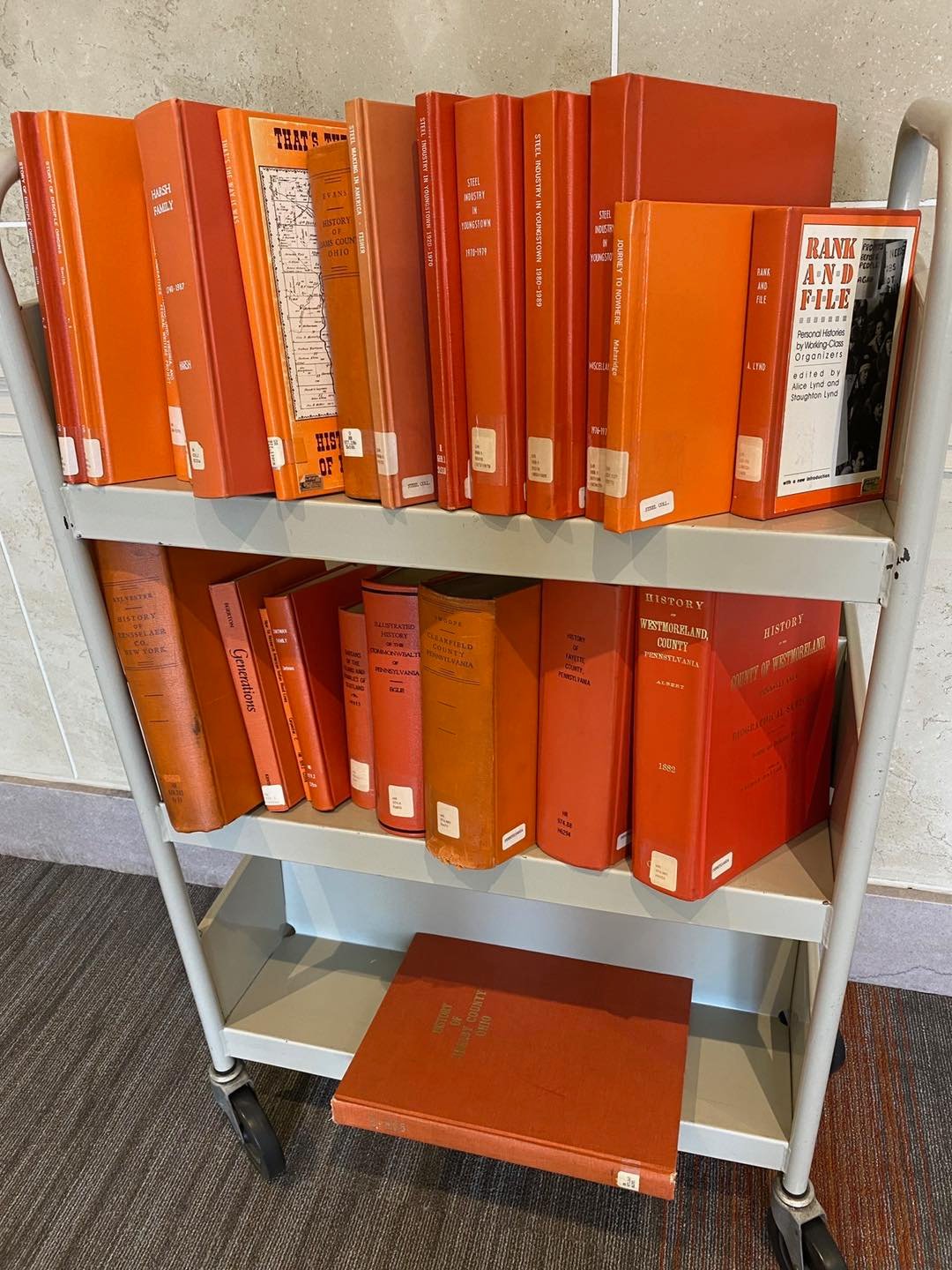 The... - The Public Library of Youngstown and Mahoning County