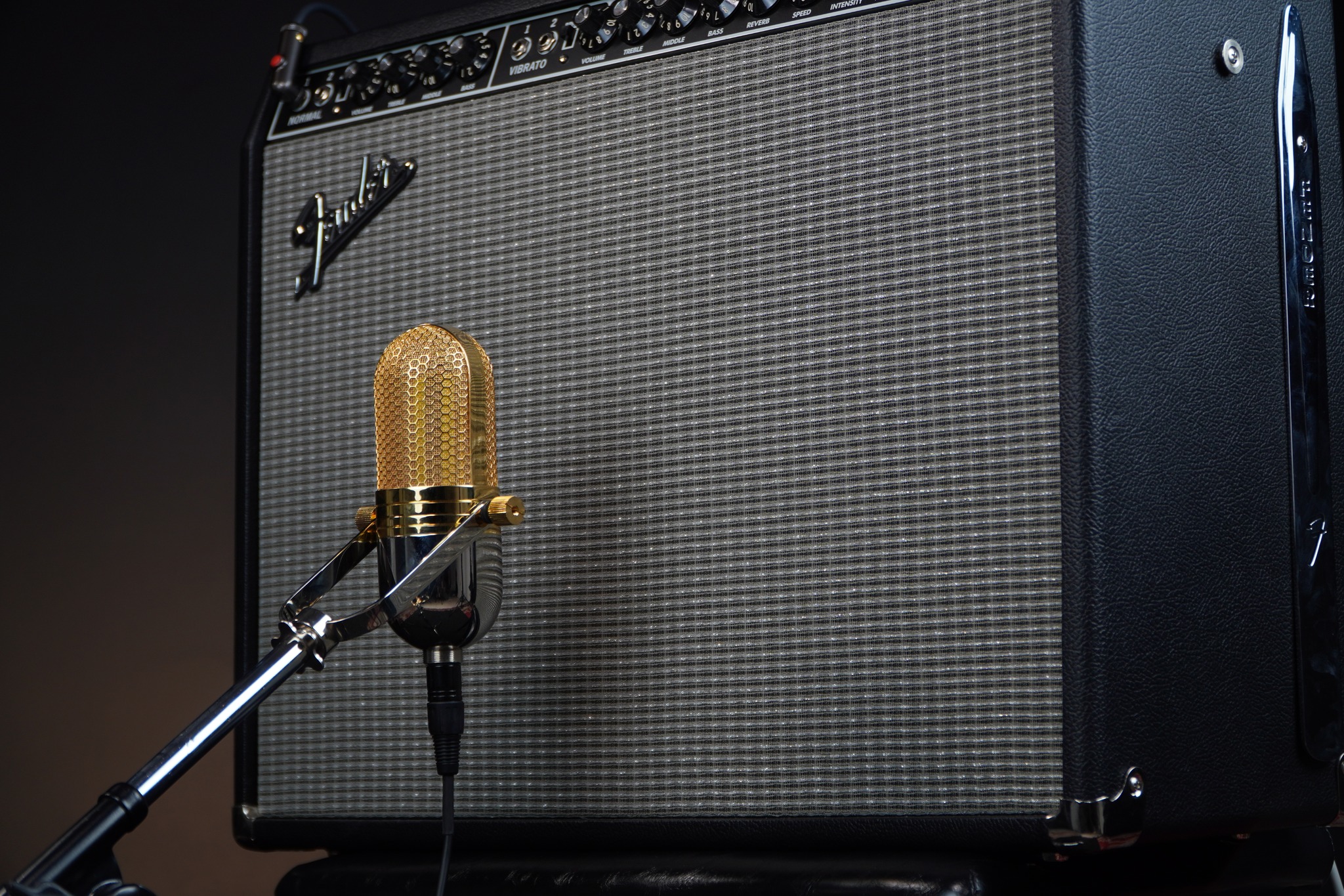 ไมโครโฟนริบบอนแบบคลาสสิค... - Music Arms ProAudio
