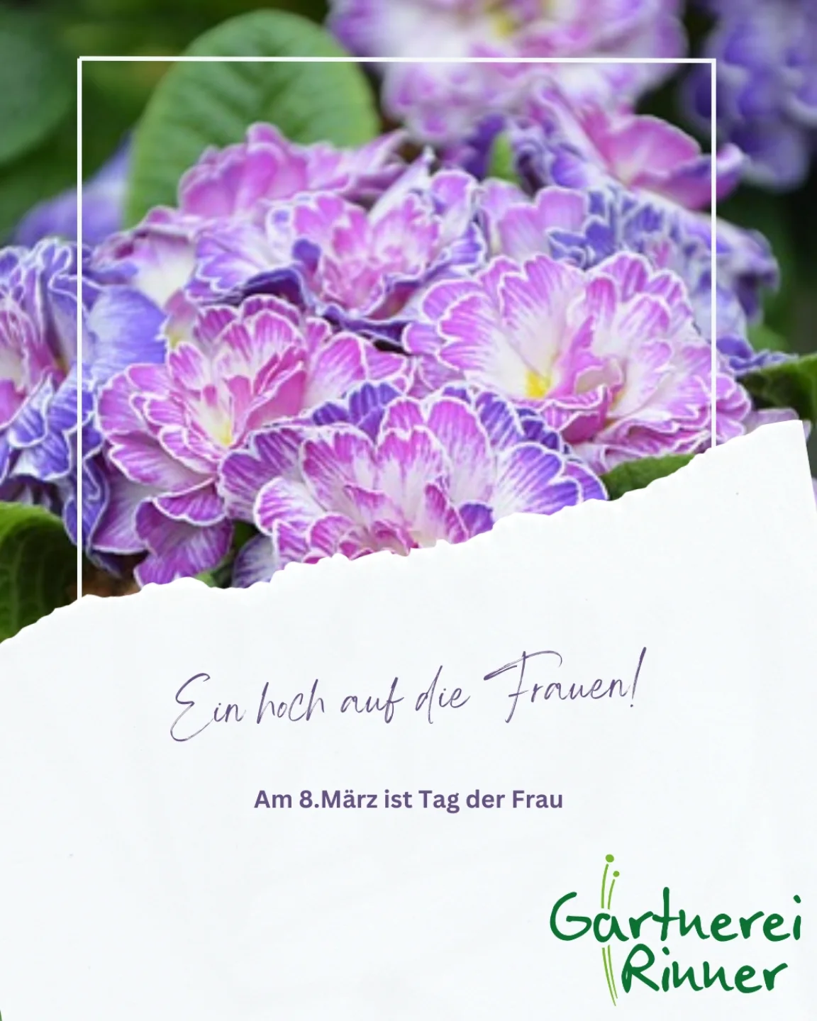 Gärtnerei Rinner Latsch added a... - Gärtnerei Rinner Latsch