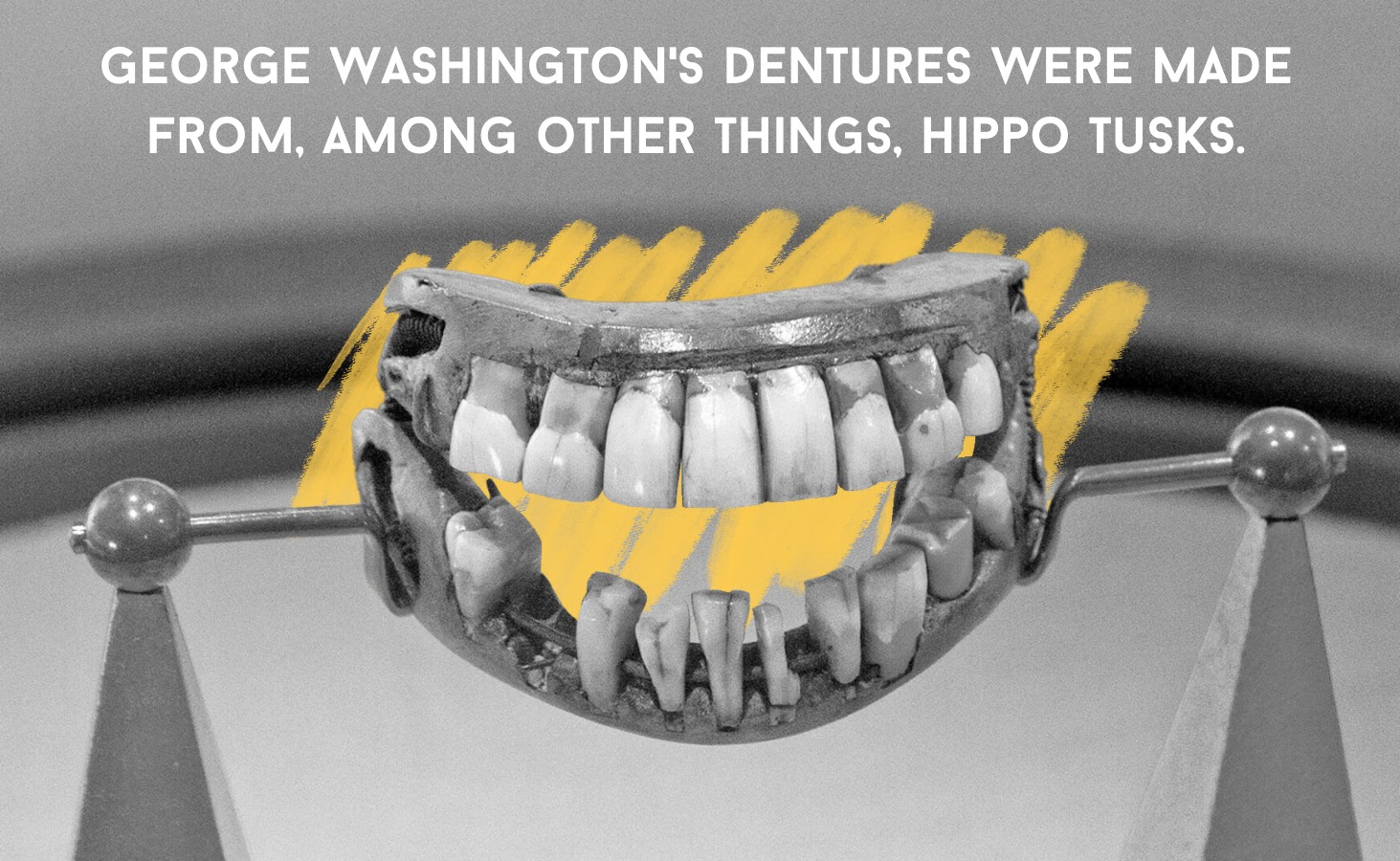 The Post - Interesting facts from History Facts .com When forming a ...
