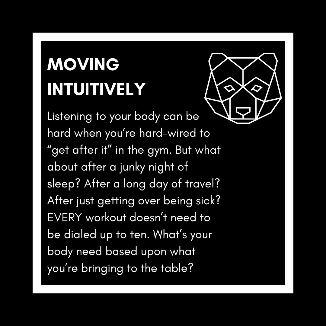 Harrison Pollack: The Motus Project - [intuition] • Fine tune your body ...
