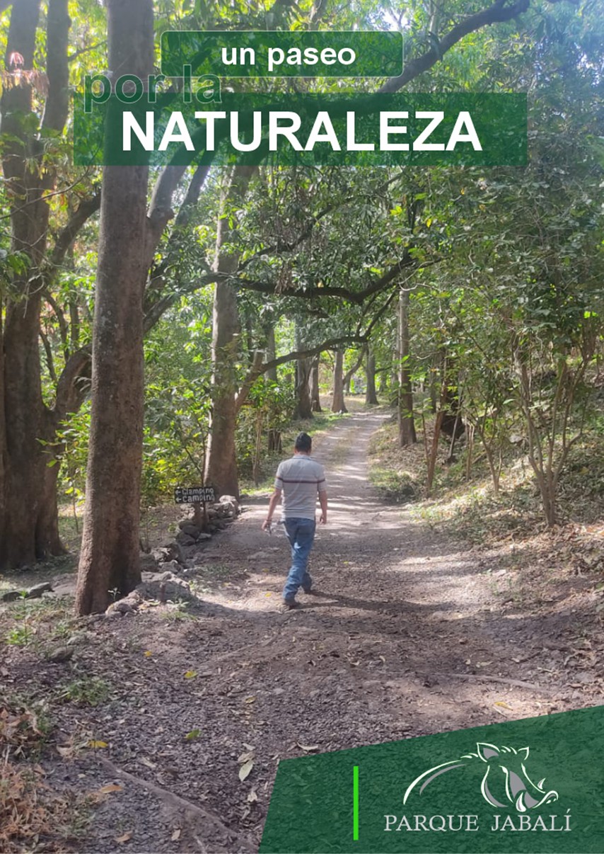 El Jabalí; Parque Natural | Zapopan