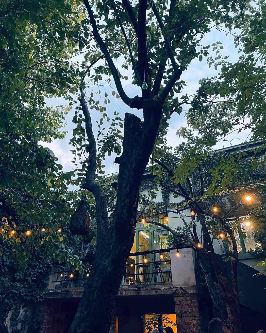 Simbio | Bucharest