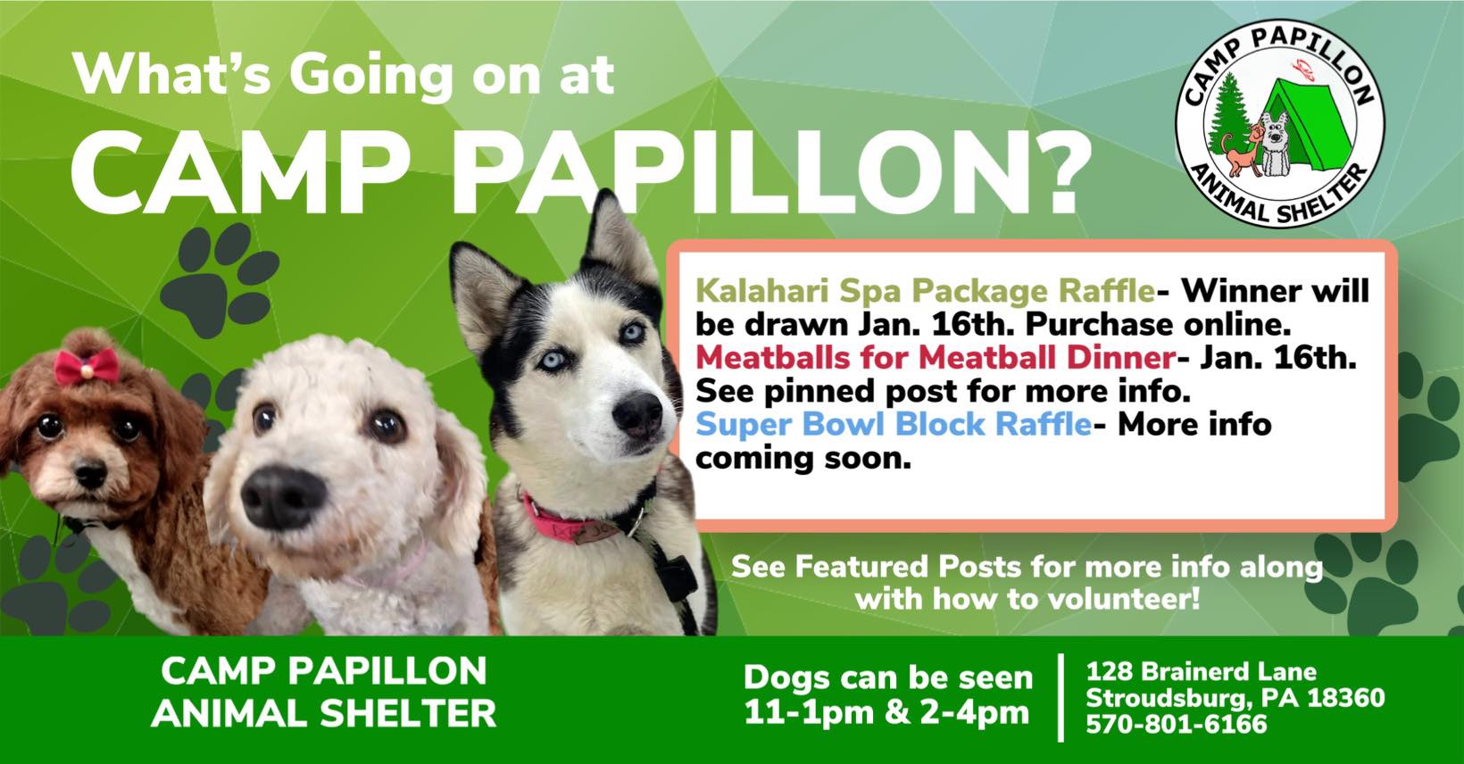 Pibbles Paws Safe... - Pibbles Paws Safe Haven - Dog Rescue