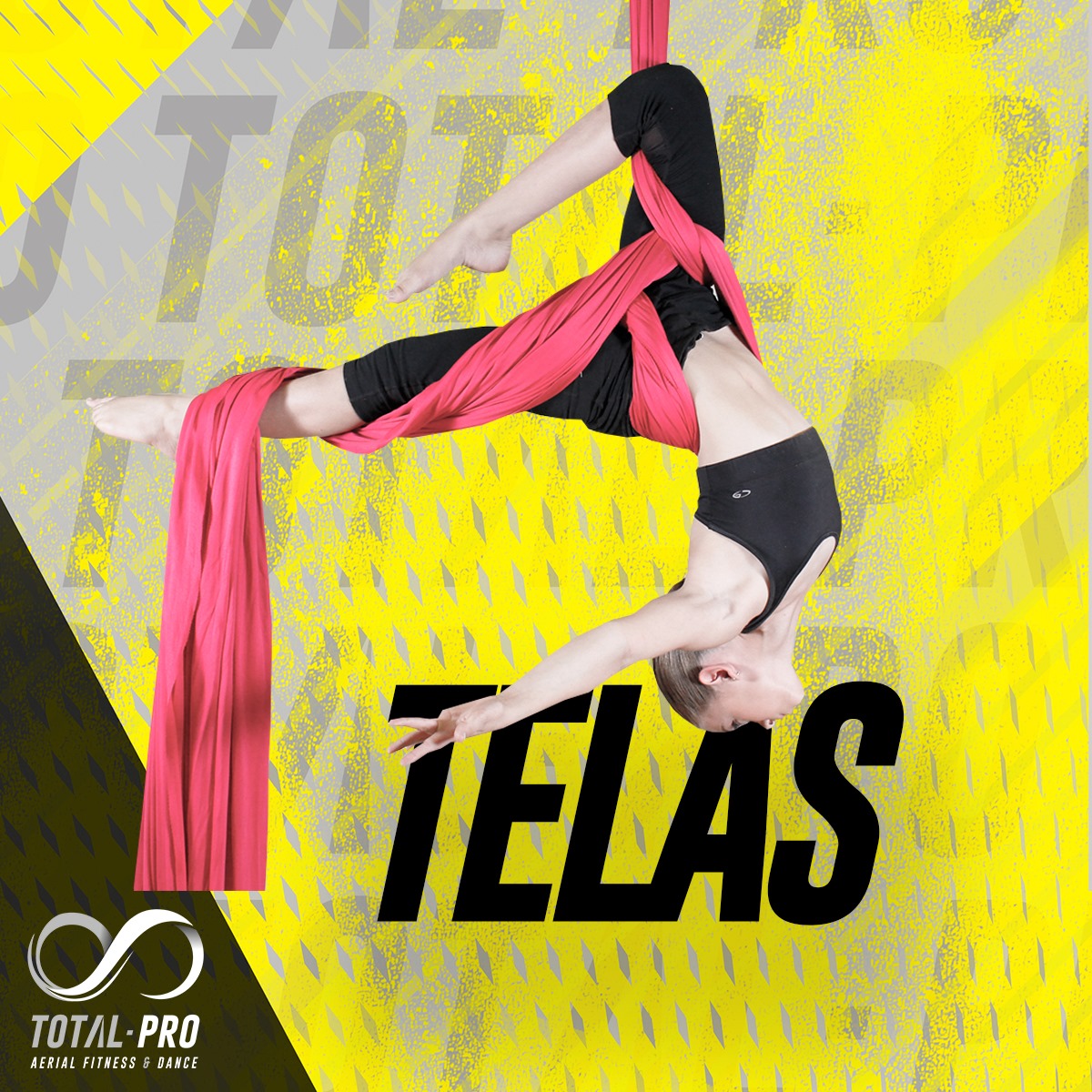 Conoce todas las... - TOTAL PRO Aerial Fitness and Dance | Facebook