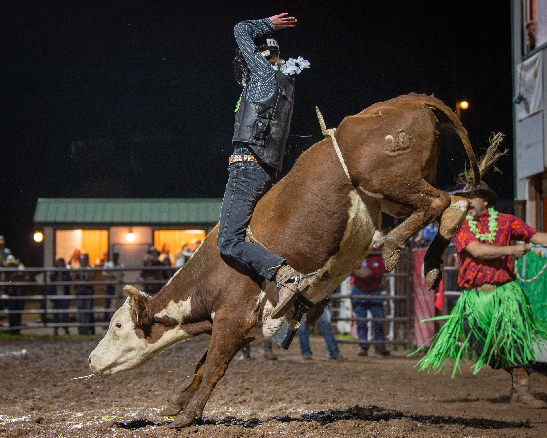 Carbondale Wild West Rodeo - Whoa! Gangster's Paradise, almost tossed ...