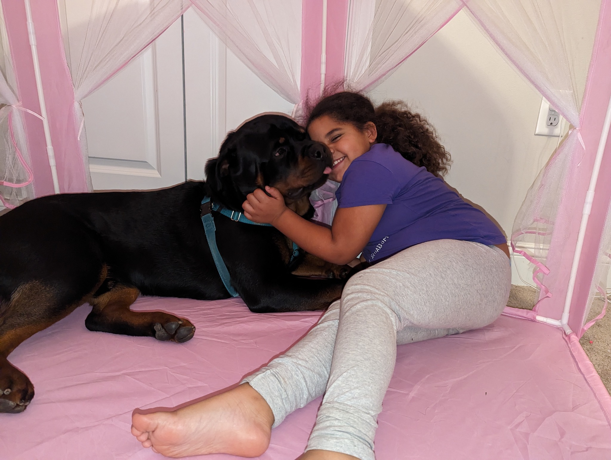 No matter the size of the dog,... - Jess the Mess K9 Training | Facebook