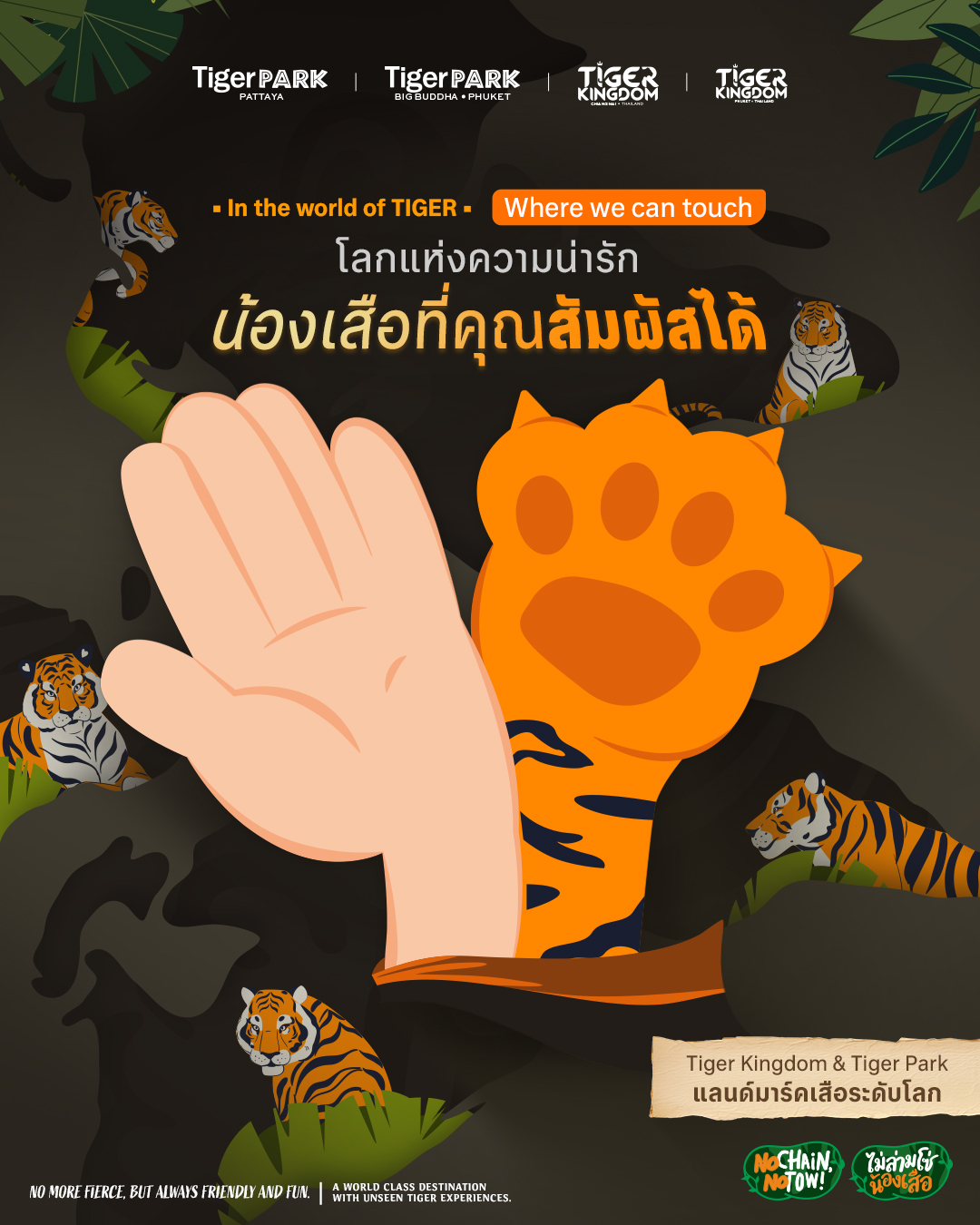Tiger - ที่นี่.. ไม่เหมือนที่คุณเคยเจอมาก่อน! เปิดโลกของน้องเสือระดับ ...