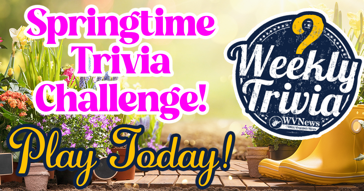 Your - 🌼 Think You Know Spring? Prove It! 🌼 Spring is here, and so is ...