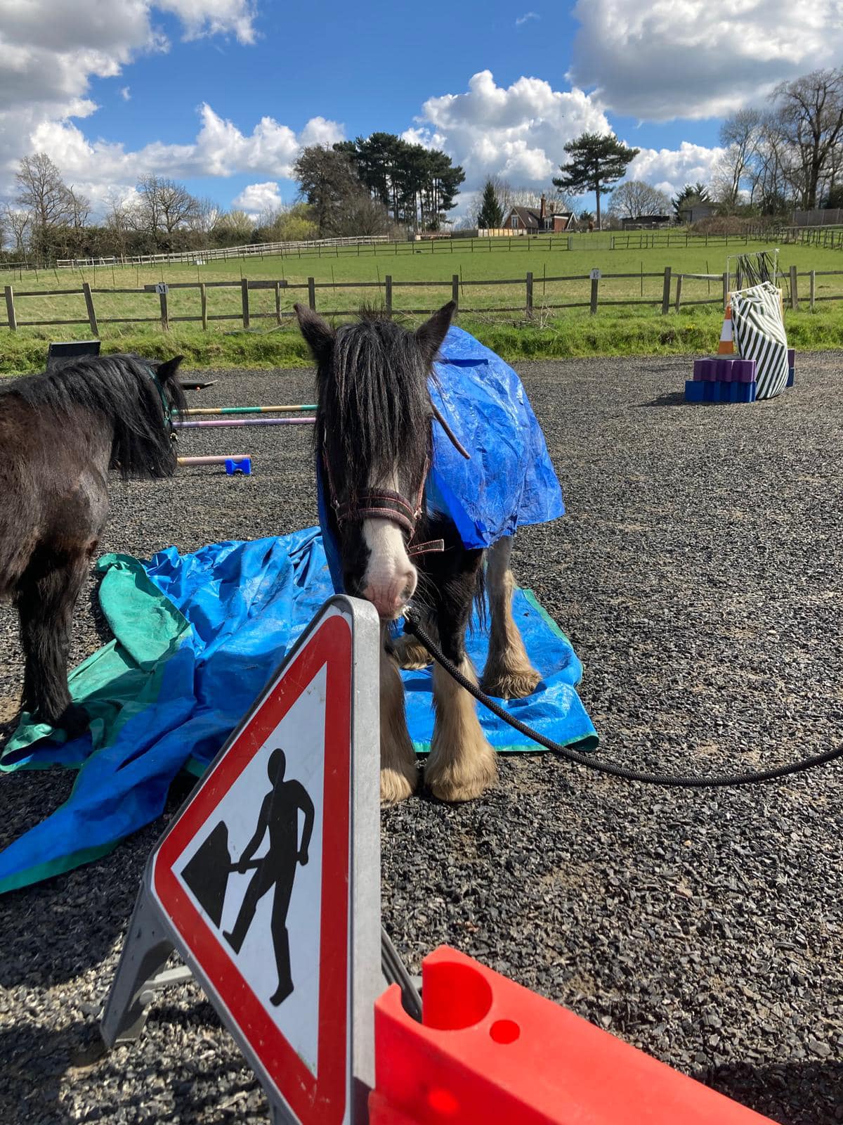 Saddles Riding Centre | Bexley