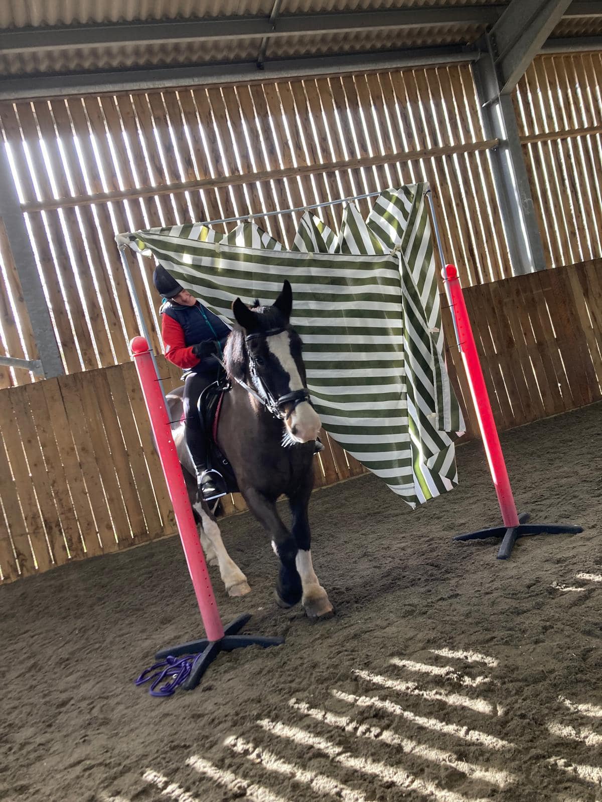 Saddles Riding Centre | Bexley