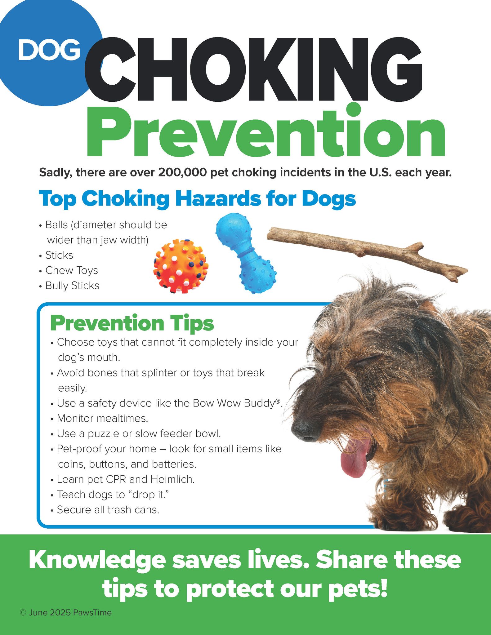 Choking Hazard Prevention In Pet Areas photo