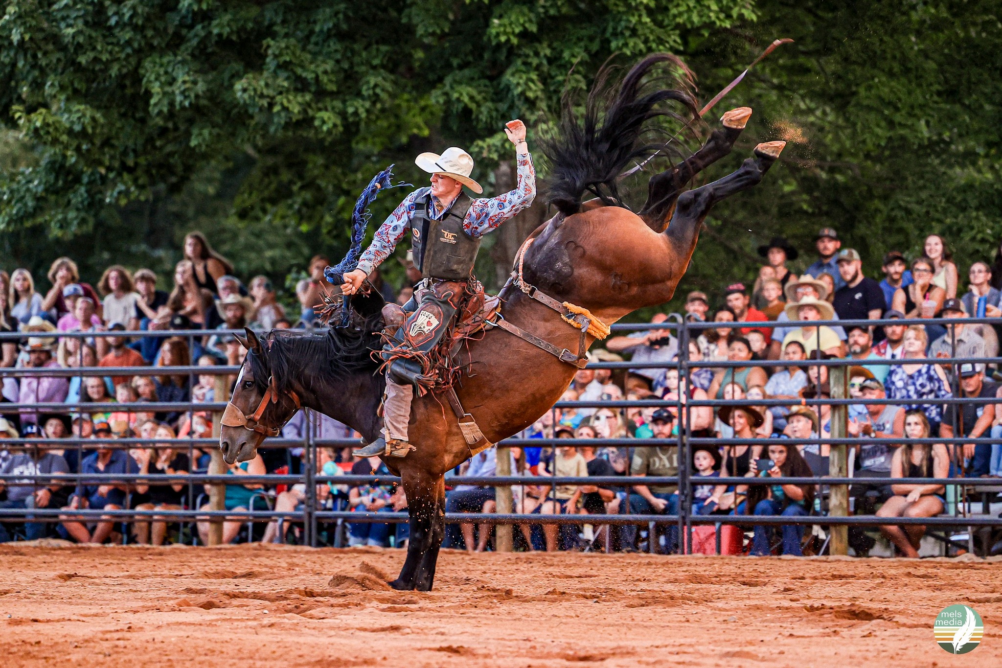 2nd Annual Carthage Pro Rodeo