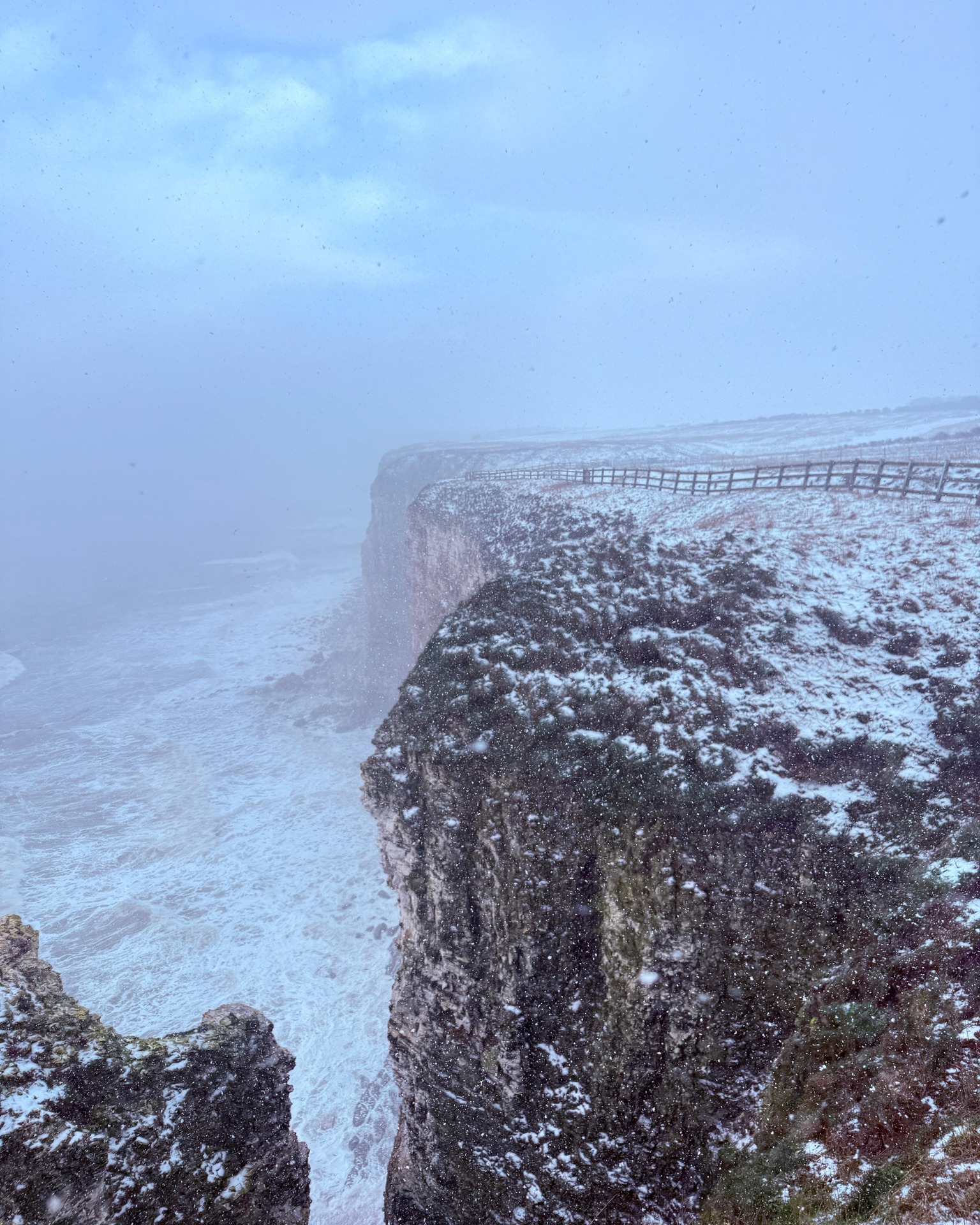 RSPB Bempton Cliffs added a new photo. - RSPB Bempton Cliffs
