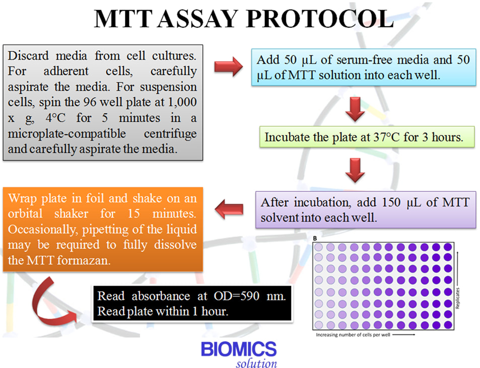 Biomics - MTT ASSAY The MTT assay is a colorimetric assay for measuring ...