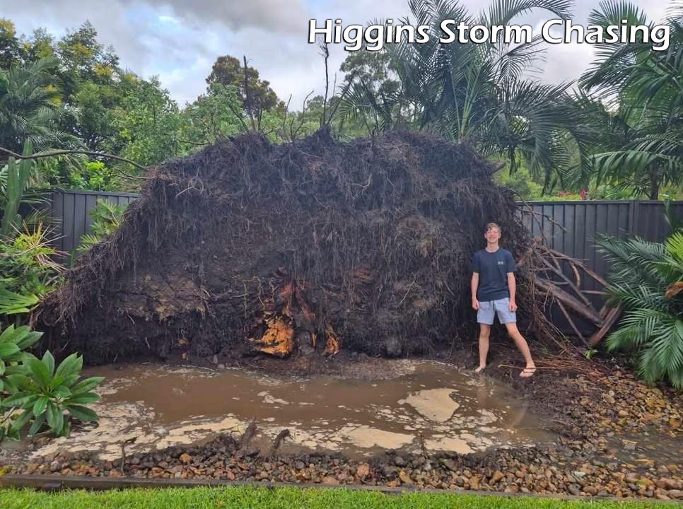 Check out the MASSIVE root system... - Higgins Storm Chasing | Facebook