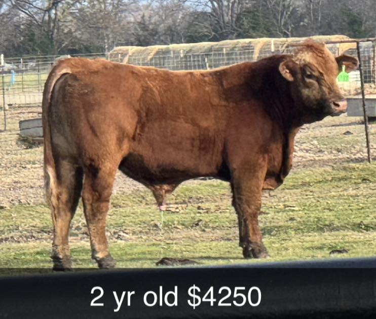 Circle D Ranch - Circle D Ranch added a new photo.