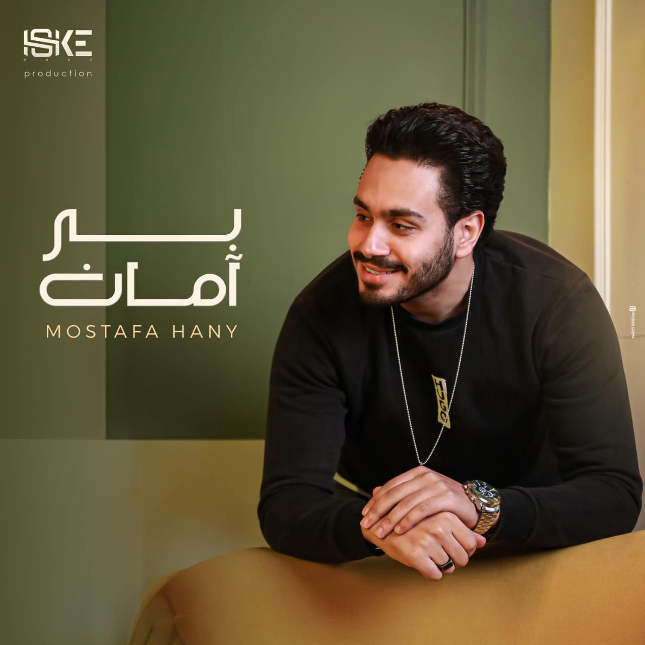 Hassan Alrefai