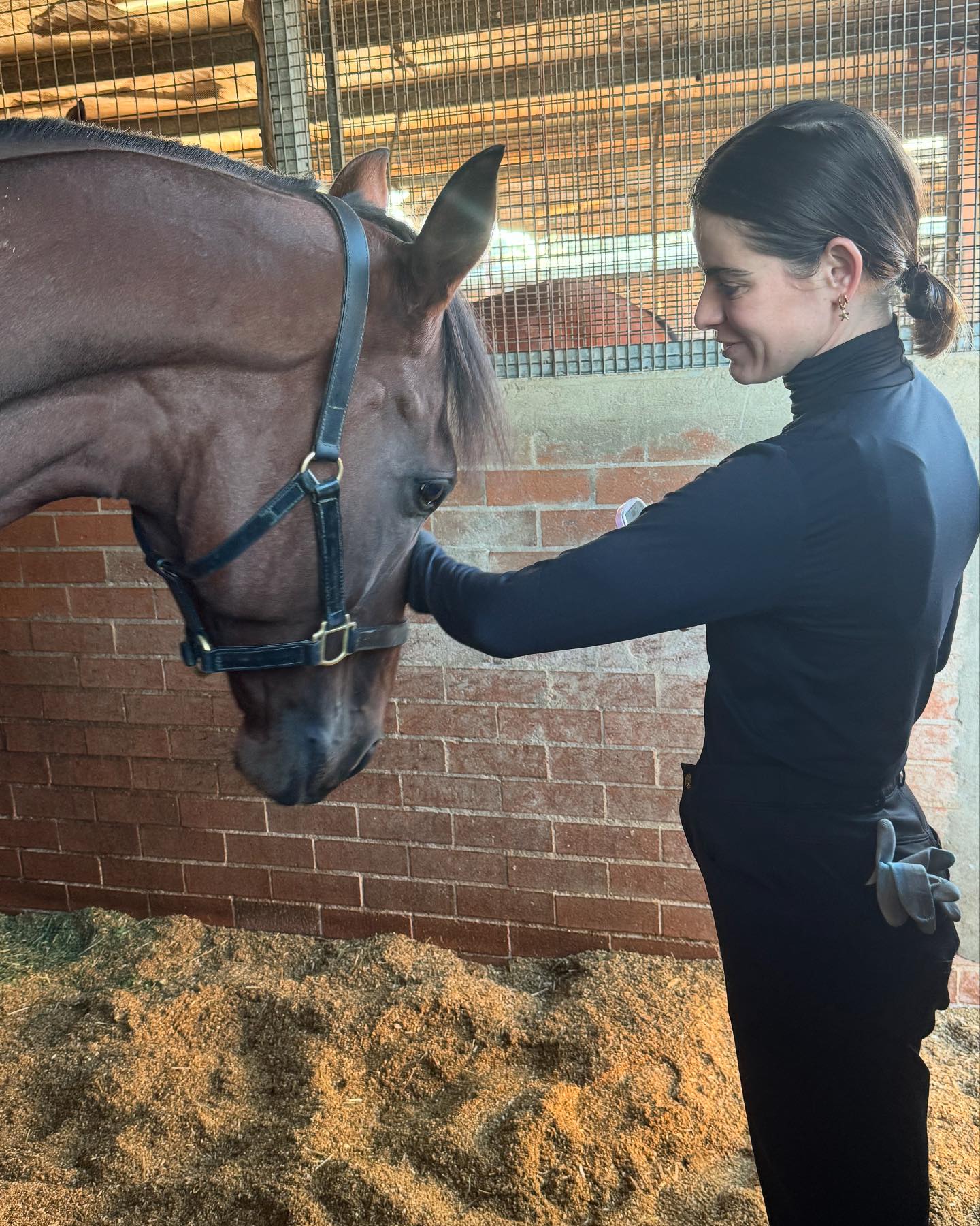 Collett Racing Stables | Sydney NSW