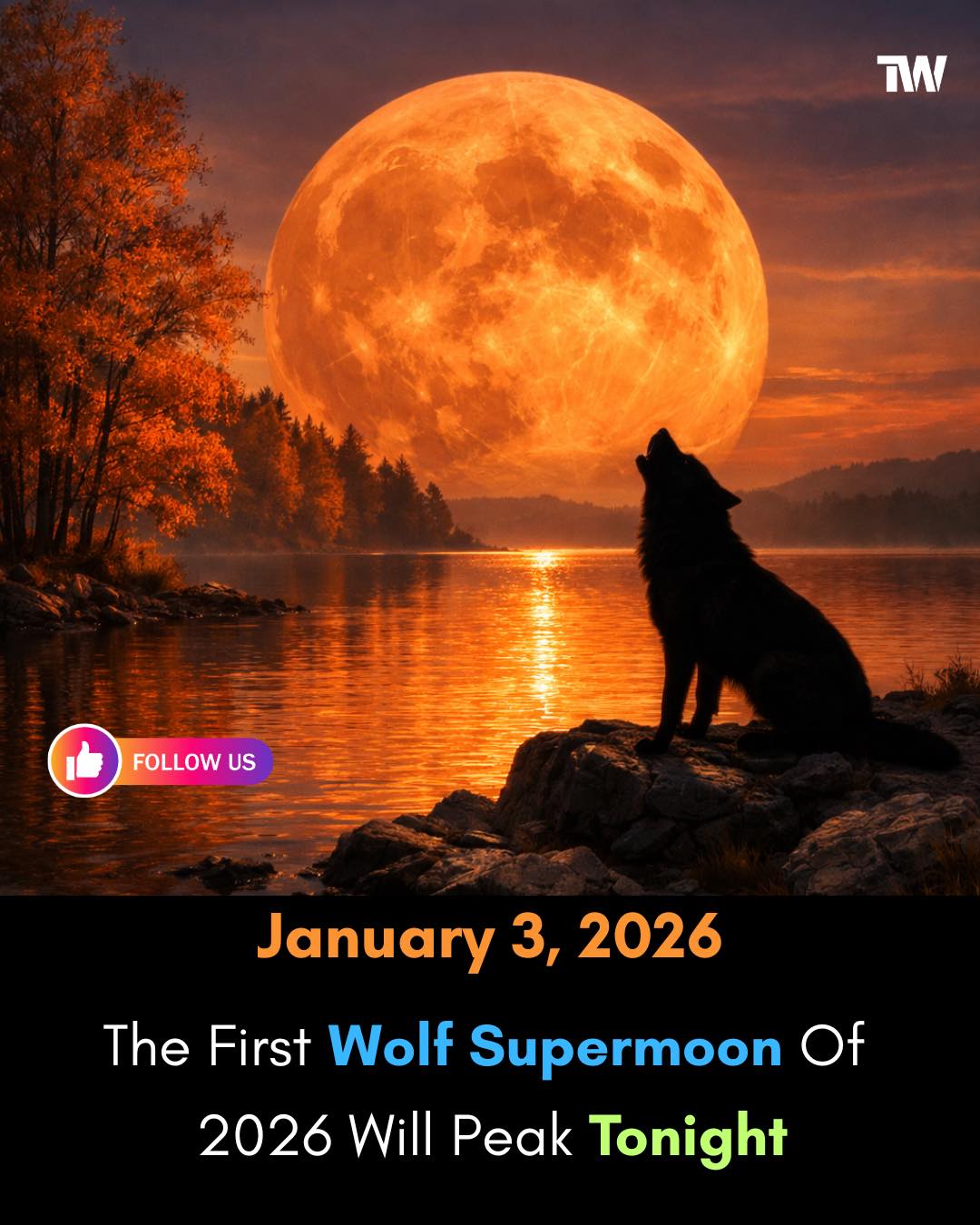 Techworm - 🌕🐺 Tonight’s Sky Highlight: The Wolf Supermoon On January 3 ...