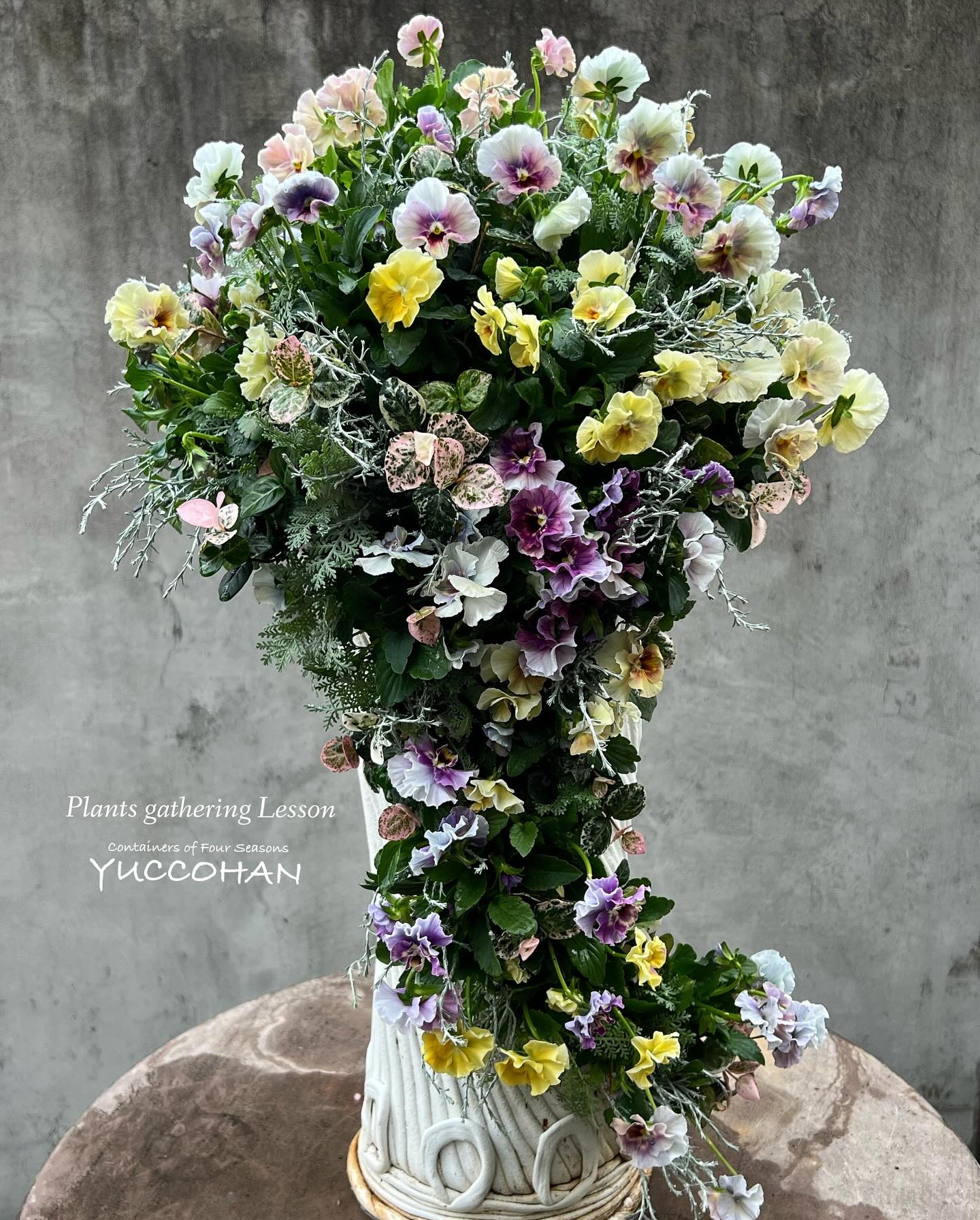 ロングらせん美 Sスリット 紲鉢 綱木紋 新品 観葉植物 ブラック 貴重