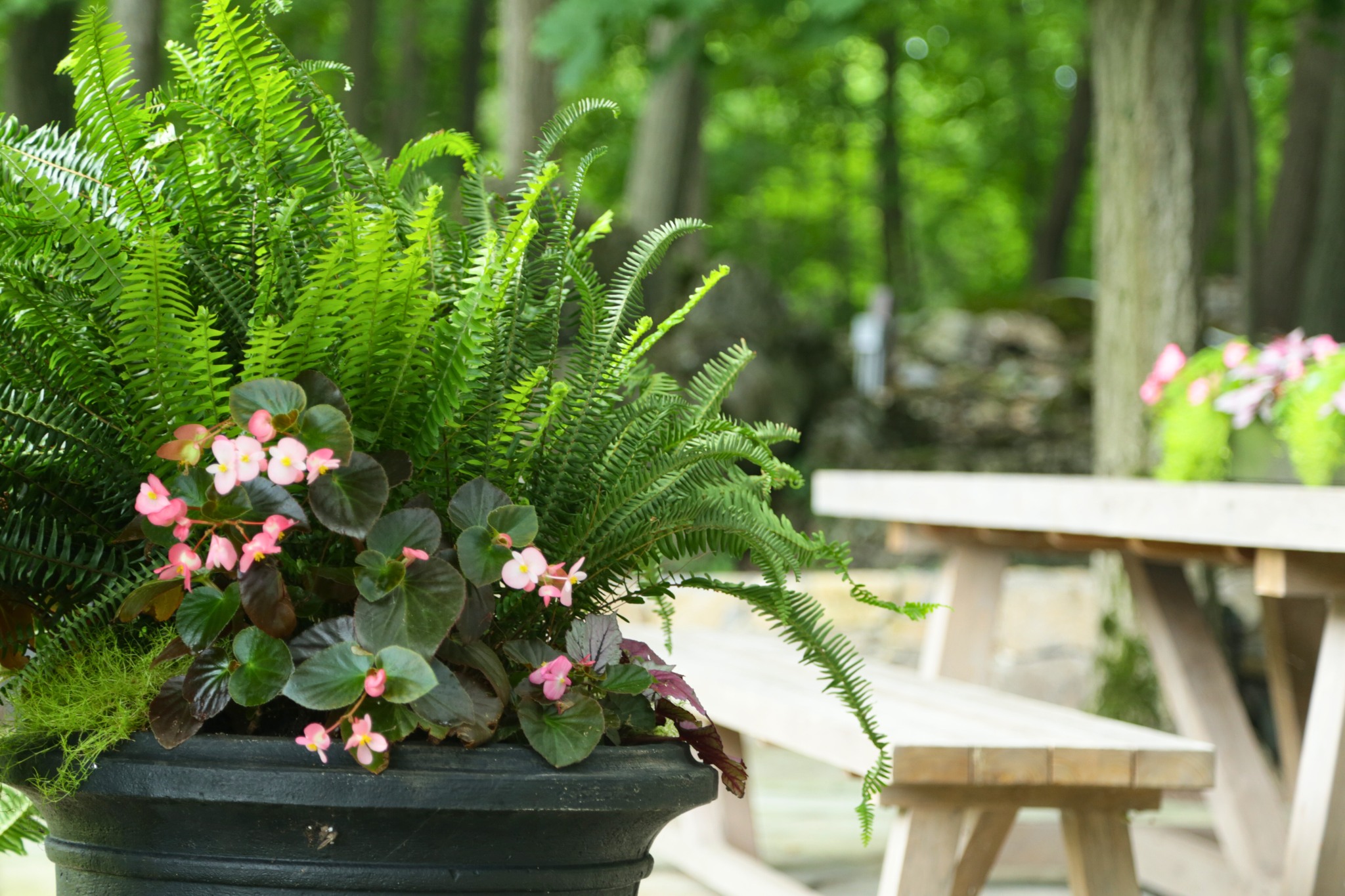 Bloom Fine Gardening - A garden is more than just plants—it’s a living ...