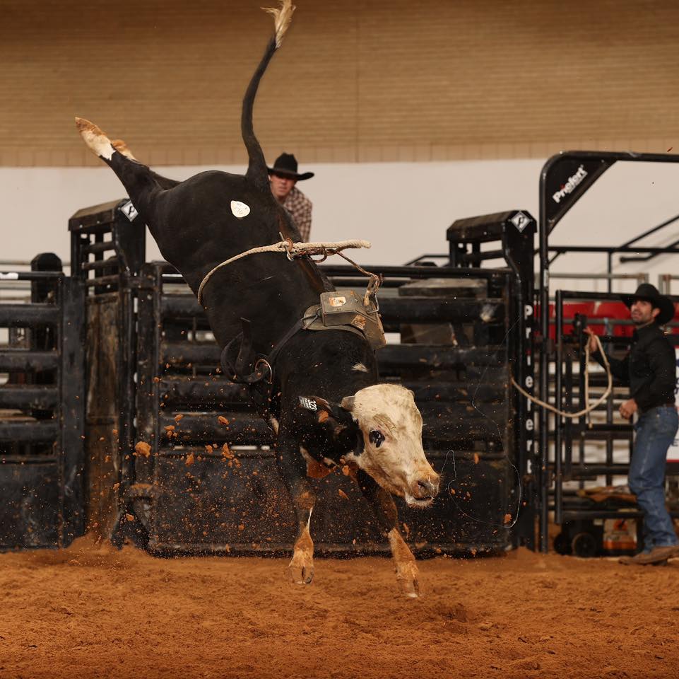 Evolution - ️3 Bull Team Side Pot ️ $500 fees - 100% payback Books will ...