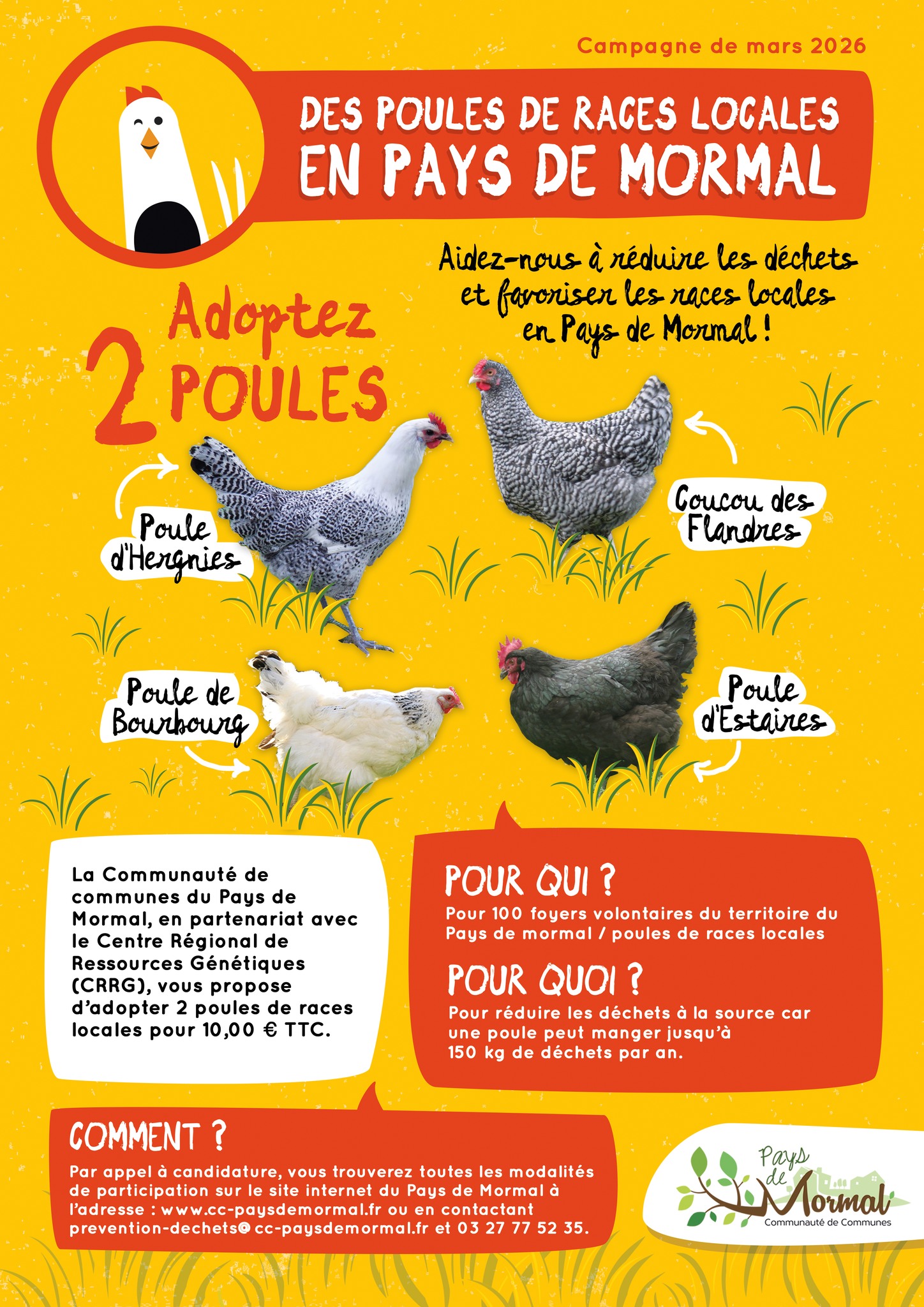 pays-environnement-dition-2026-les-poules-locales-reviennent
