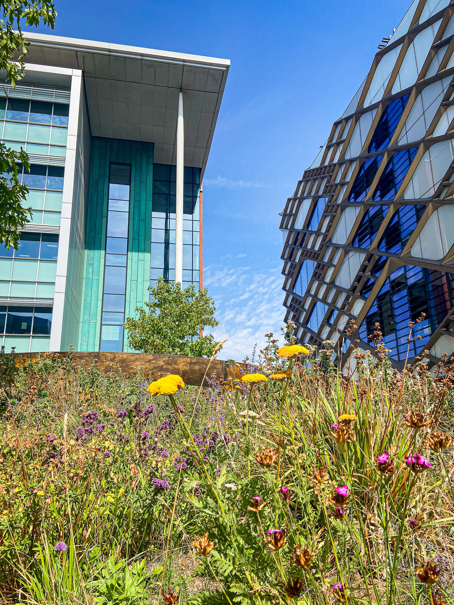 University of Sheffield... - University of Sheffield Alumni
