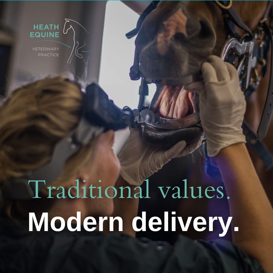Heath Equine Veterinary... - Heath Equine Veterinary Practice