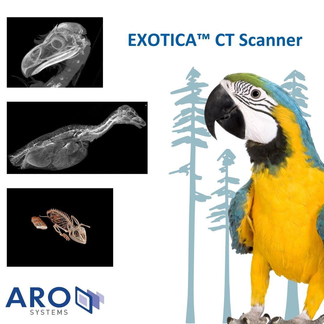 ARO Systems | Wodonga VIC