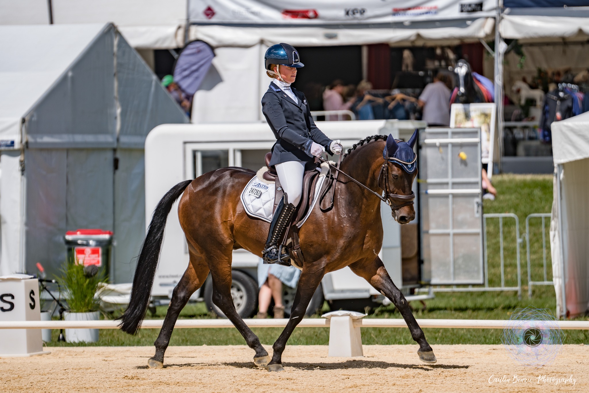 Show - 🏆 Paige Fitzgerald & Greenmoor Euphoria – Pony of the Year ...