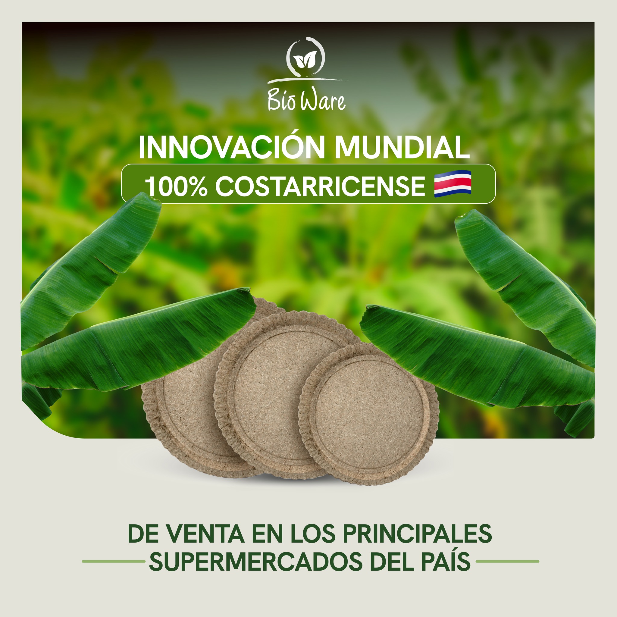 biowarecr - 100% costarricenses y 100% compostables, así son nuestros ...