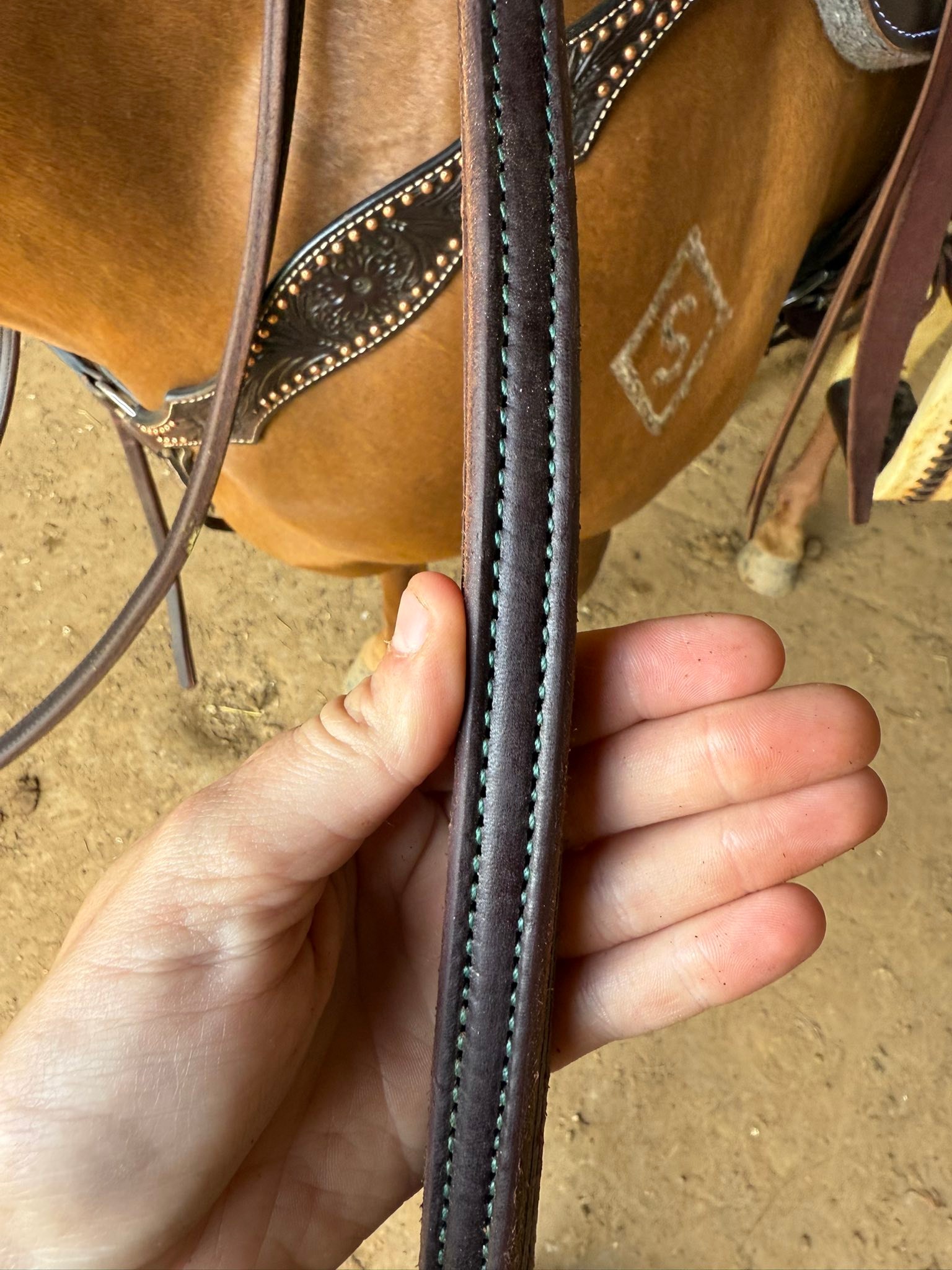 Showman 8ft Argentina Cowhide Leather Split Reins – Genuine Leather