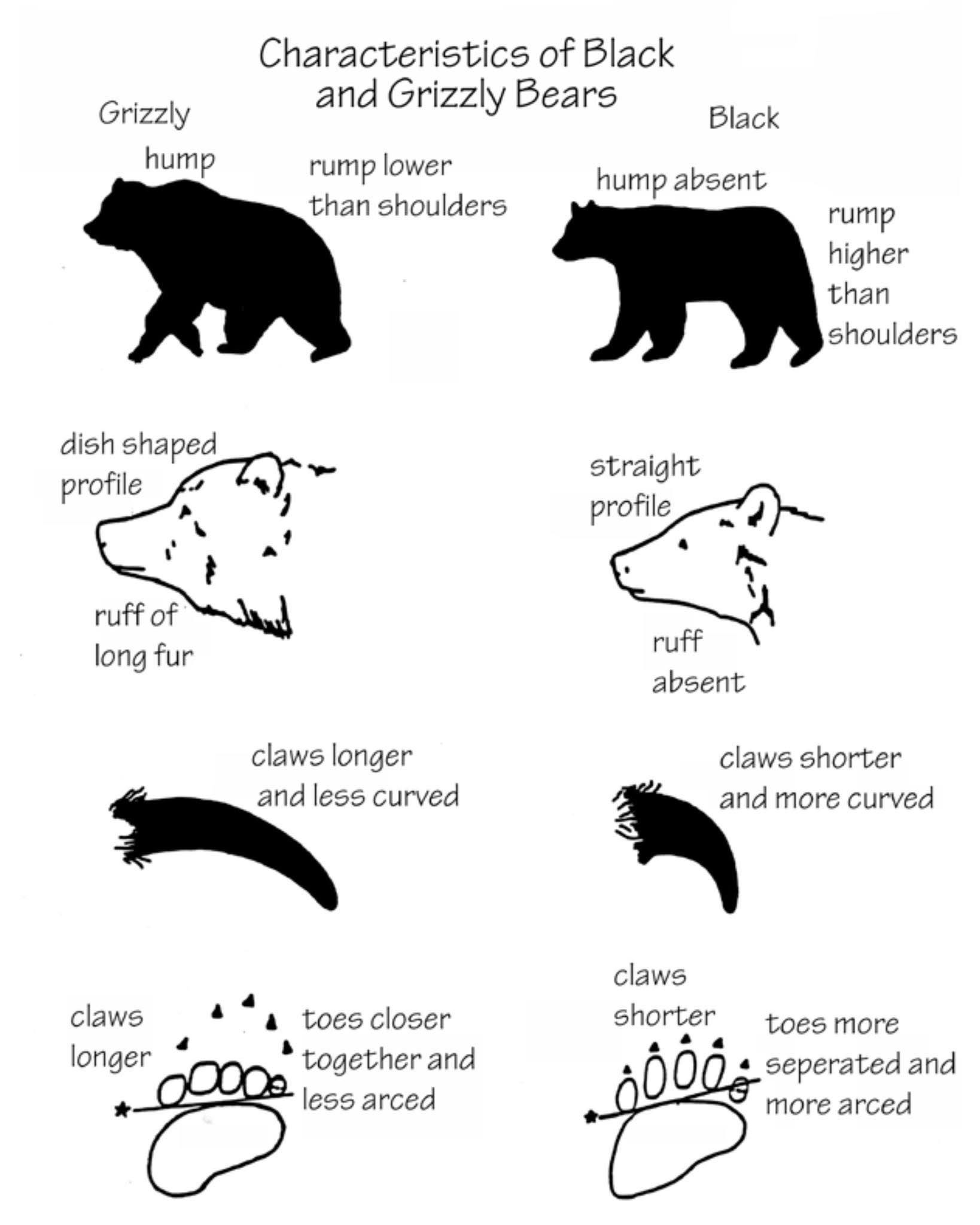 Wildsafebc - The most common question people seem to ask is, whats the ...
