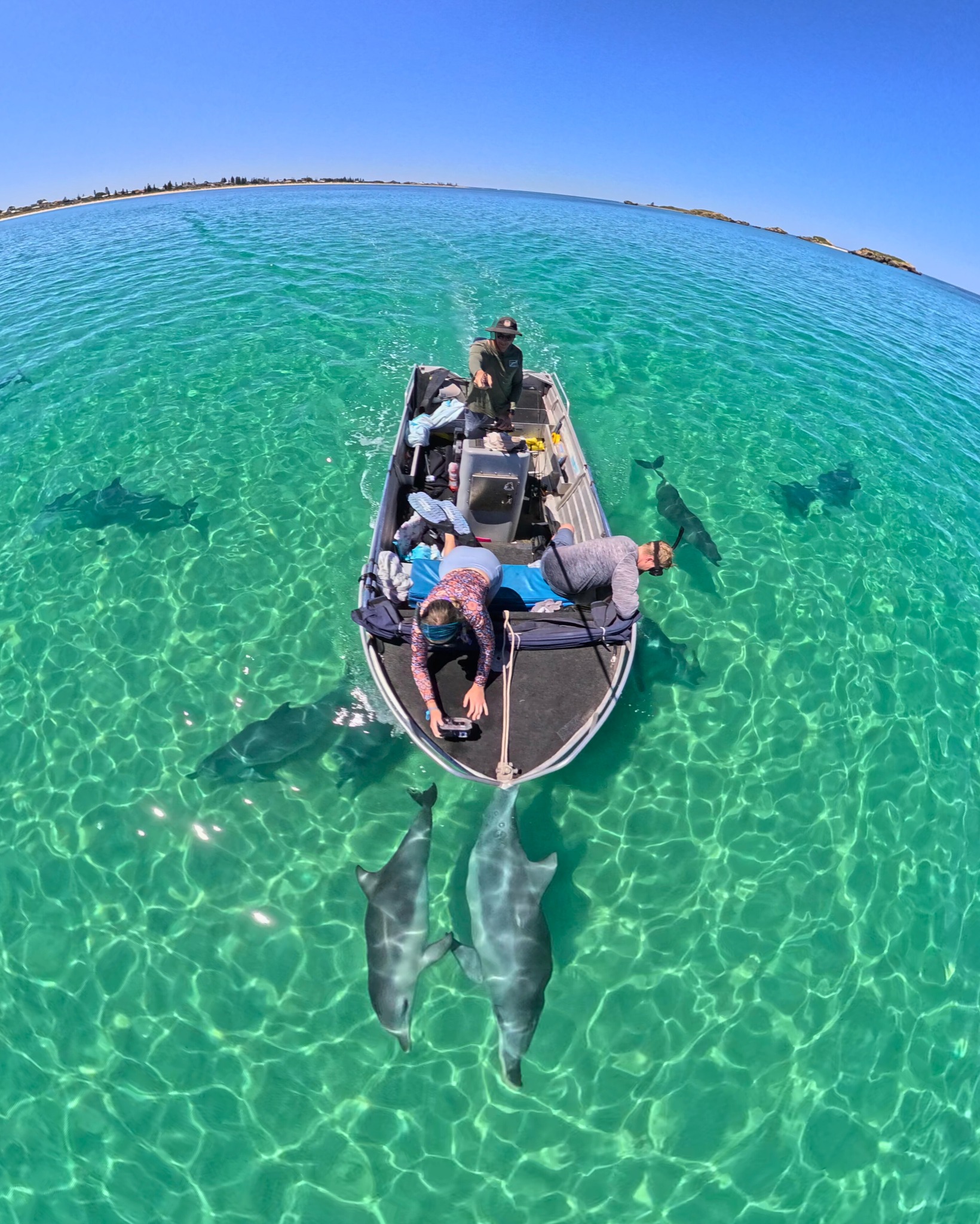 GoPro - On dolphin patrol with the crew 🐬 Dylan deHaas capturing all ...