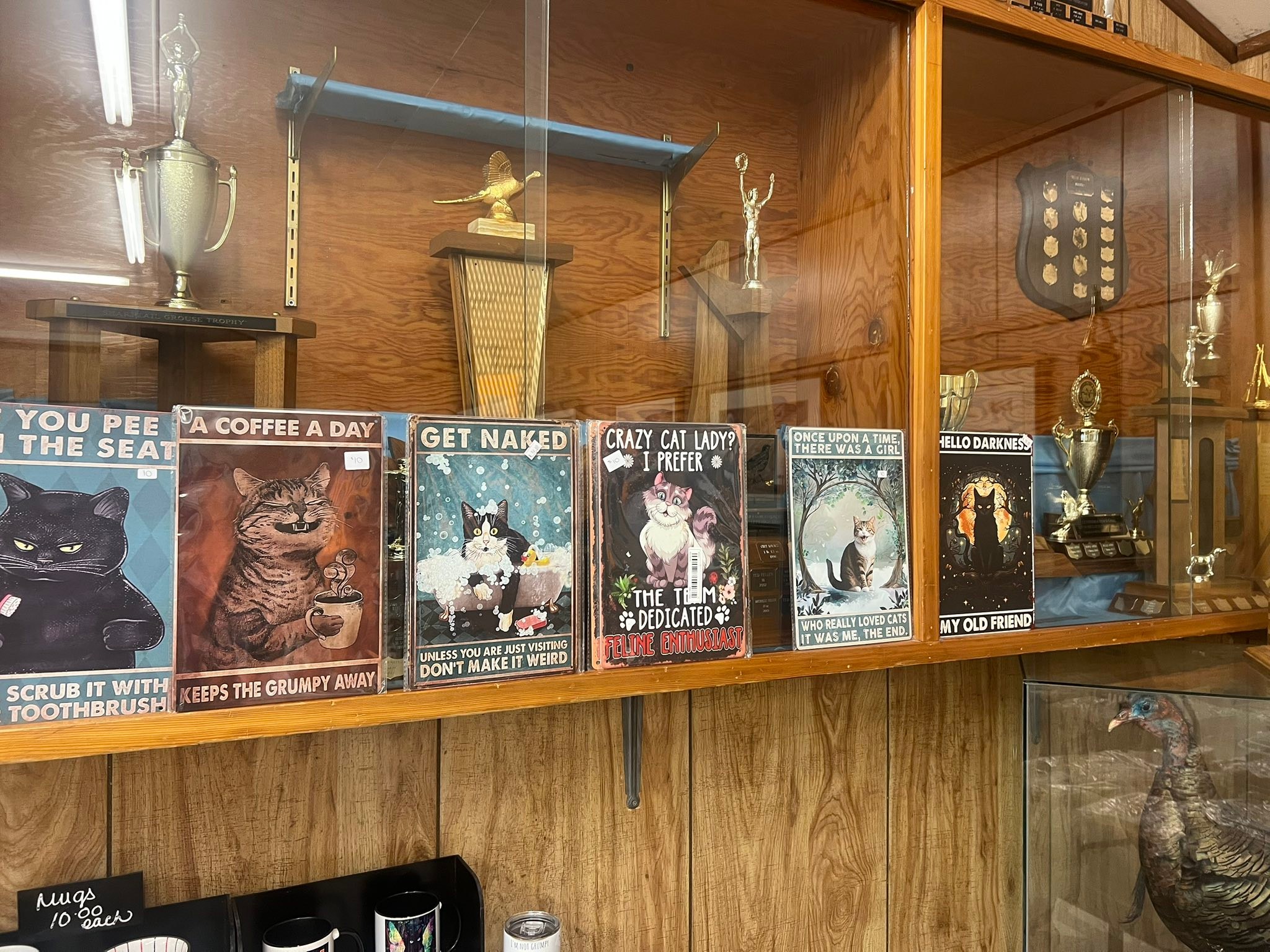 Last Chance Cat Ranch... - Last Chance Cat Ranch Lethbridge
