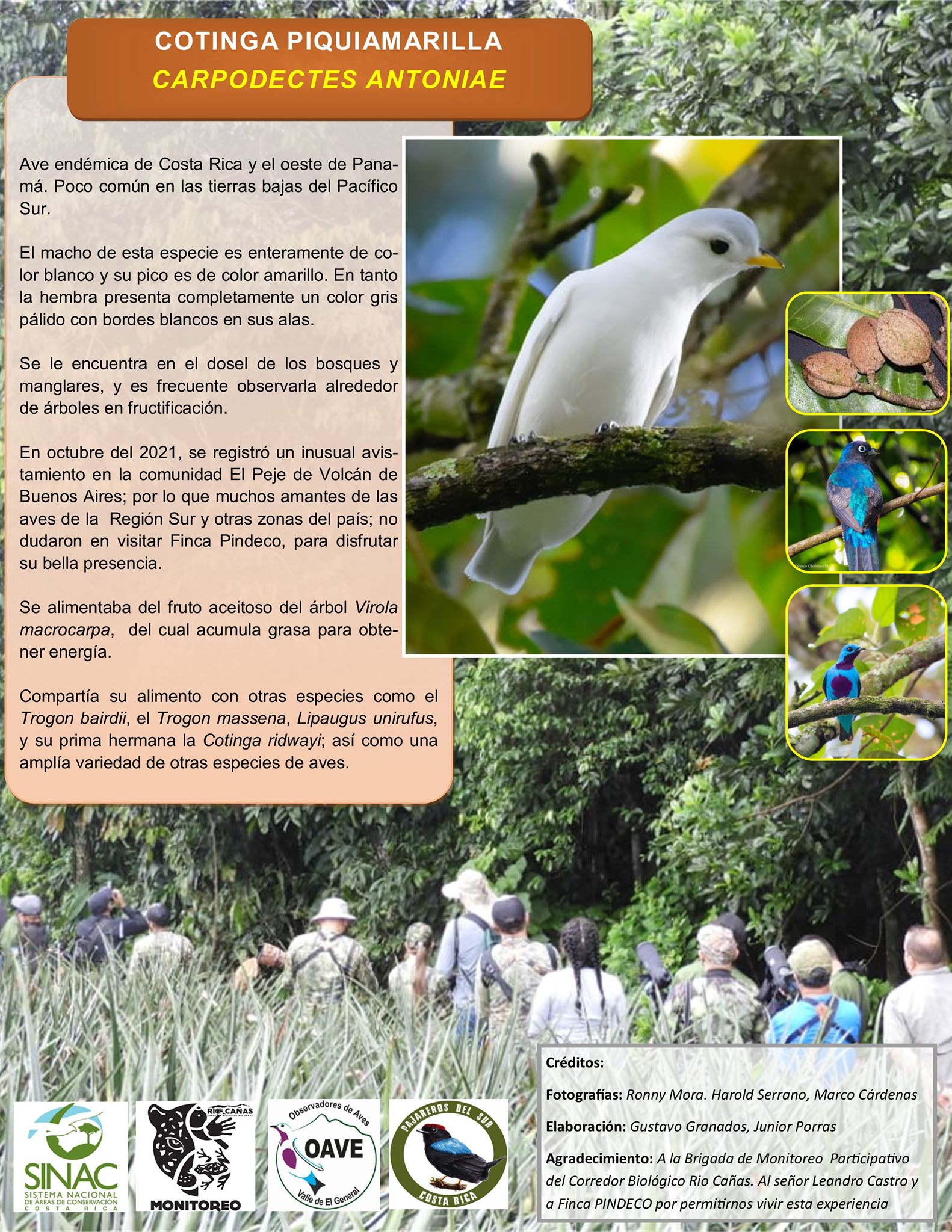 ACLAP informa:... - Área de Conservación La Amistad Pacífico | Facebook